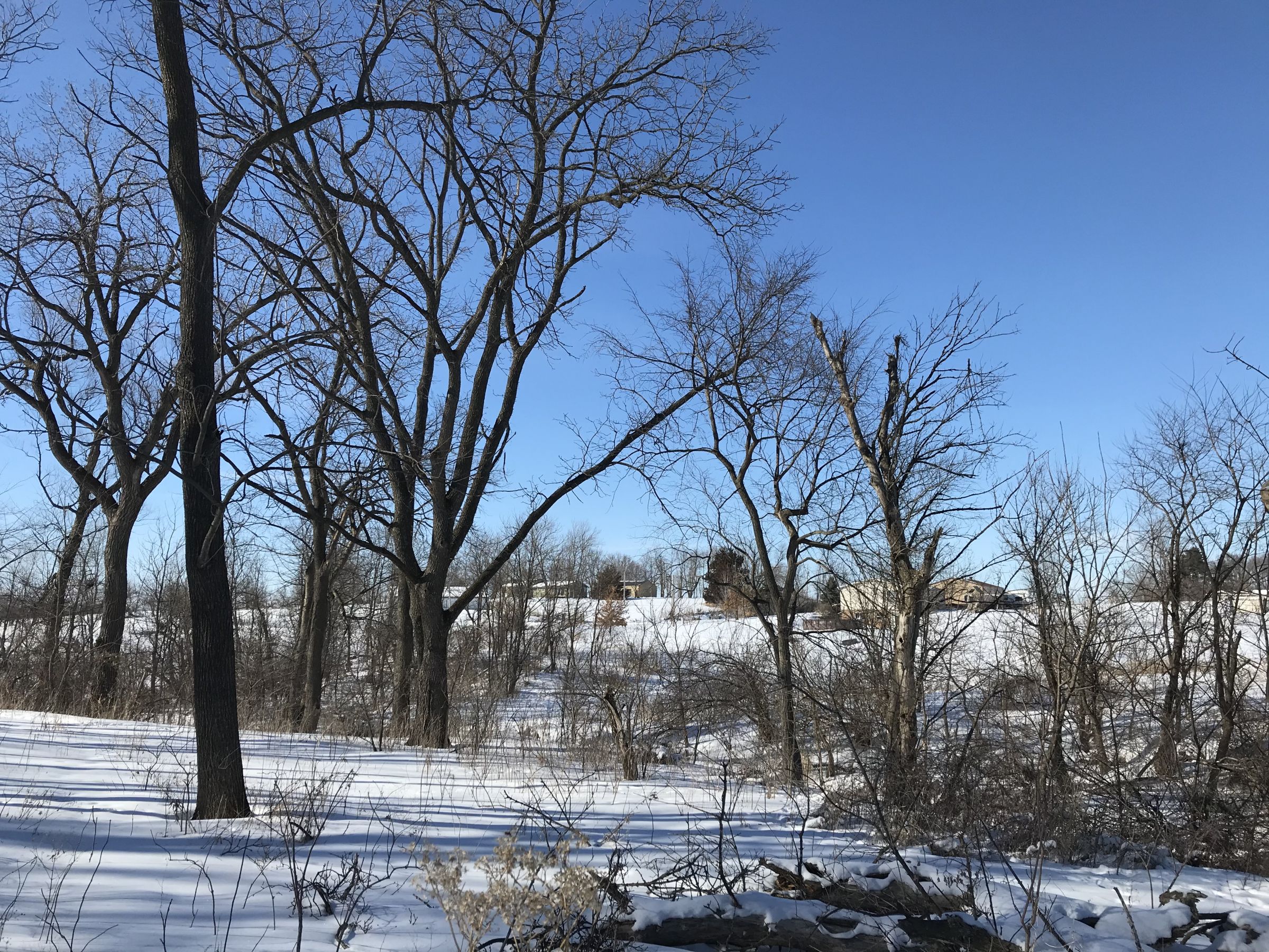 residential-warren-county-iowa-7-acres-listing-number-15327-1-2021-02-16-233207.jpg