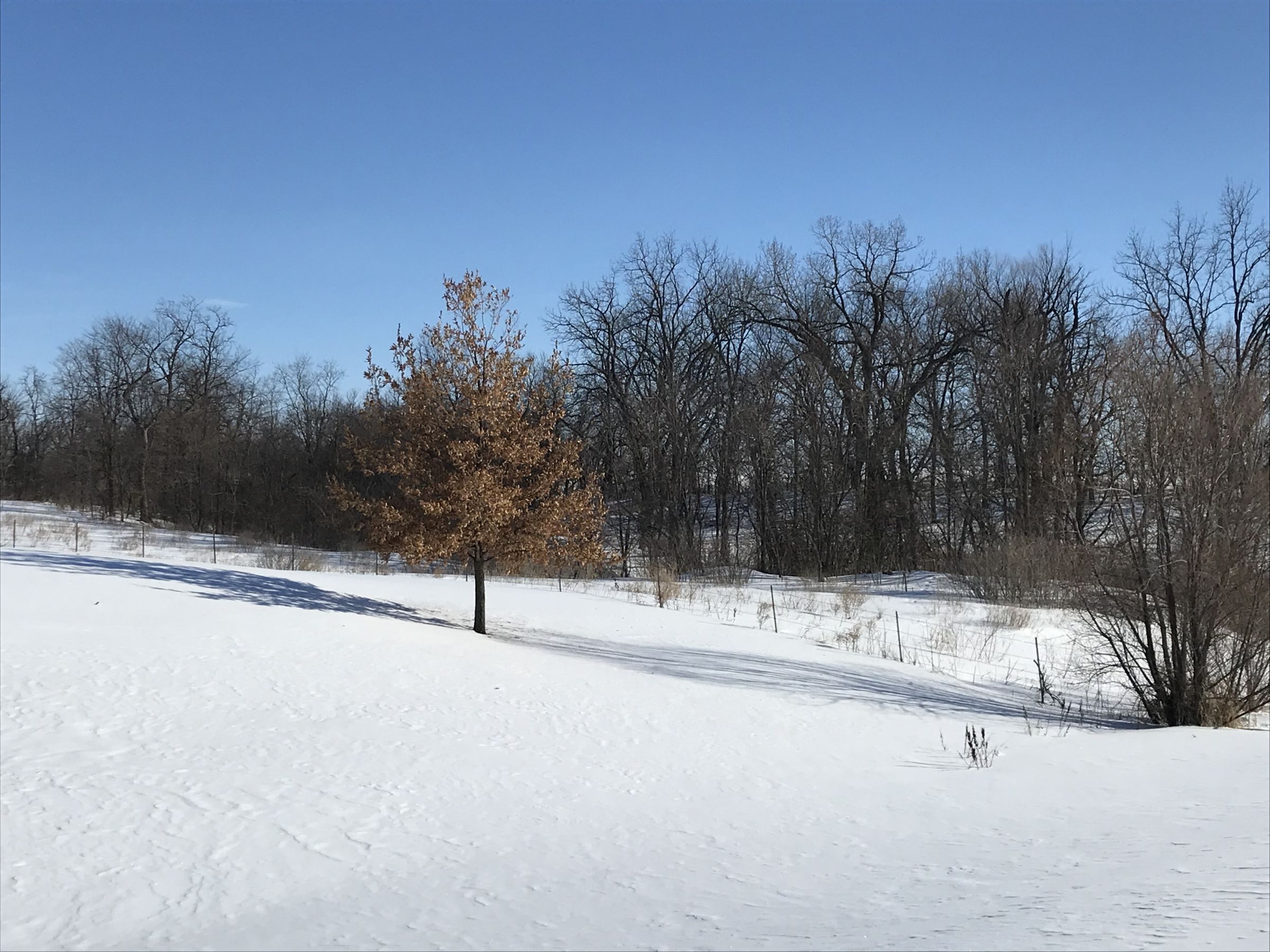 residential-warren-county-iowa-7-acres-listing-number-15327-3-2021-02-16-233210.jpg