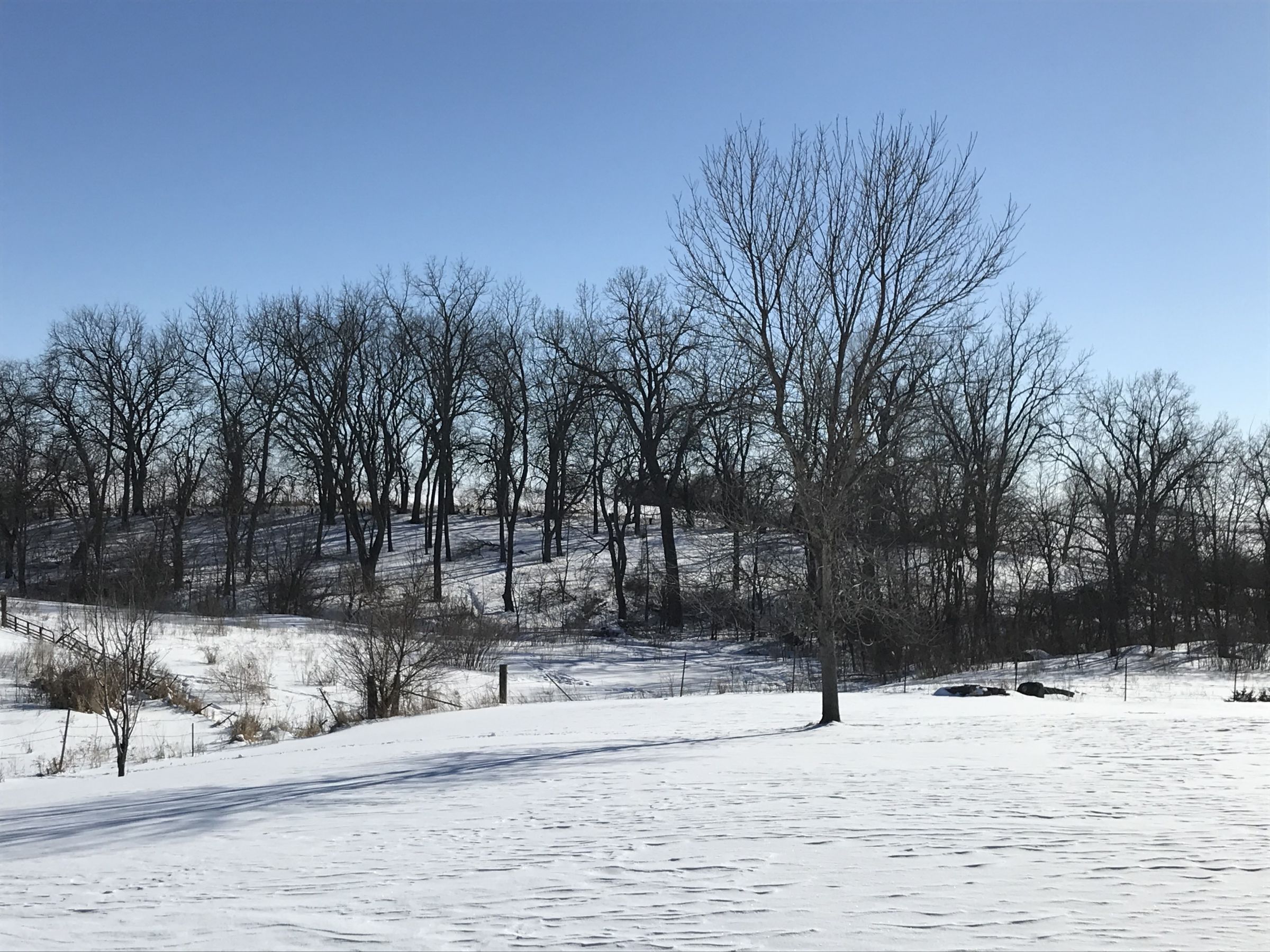 residential-warren-county-iowa-7-acres-listing-number-15327-4-2021-02-16-233211.jpg