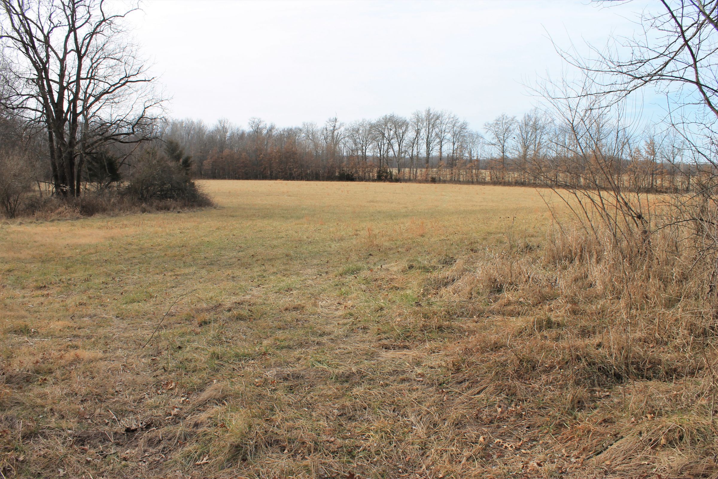 land-knox-county-missouri-239-acres-listing-number-15346-3-2021-02-05-144705.jpg