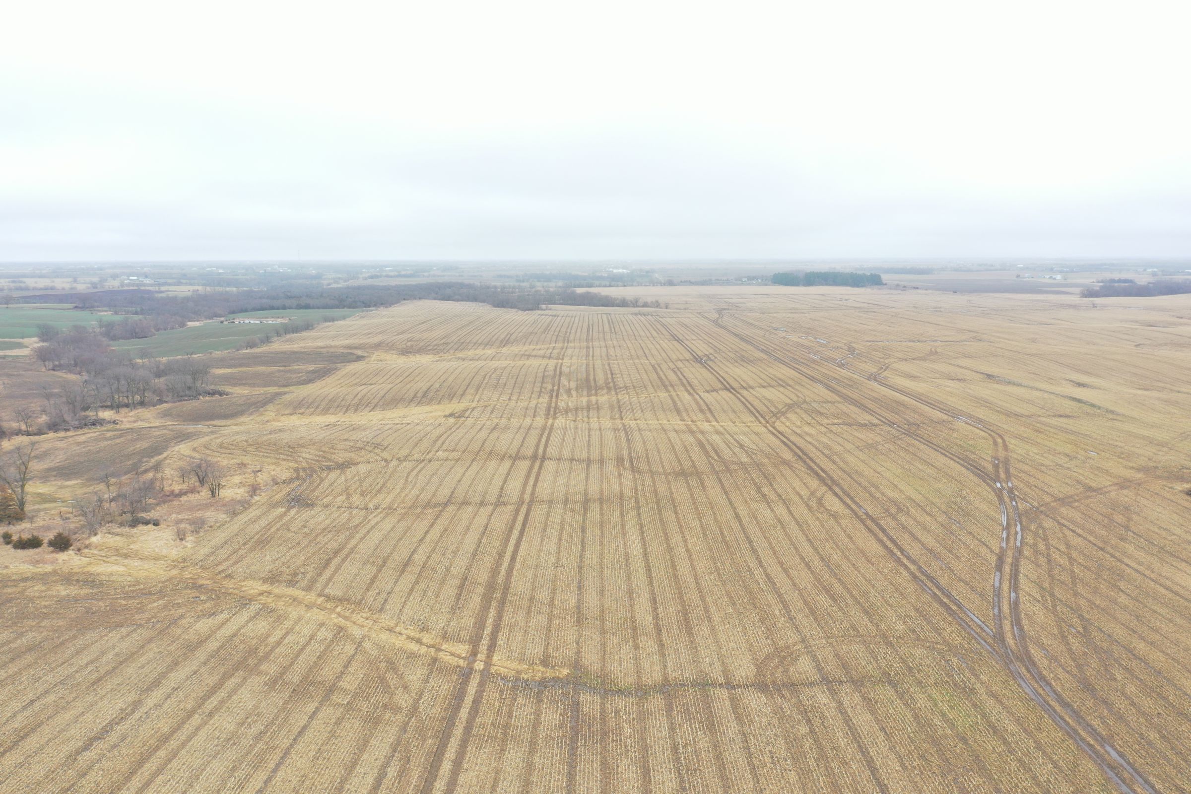 land-davis-county-iowa-180-acres-listing-number-15360-0-2021-03-19-143908.JPG