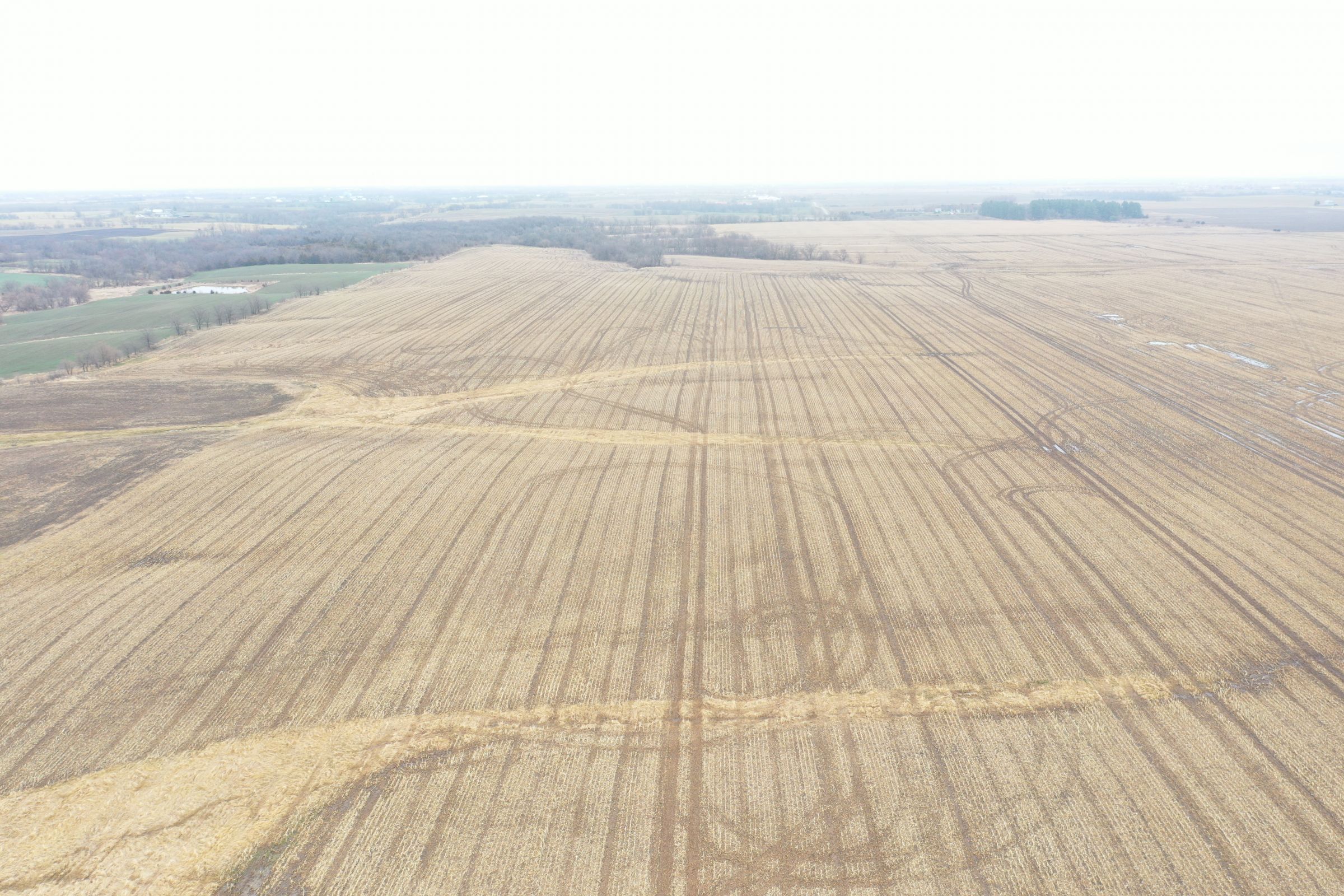 land-davis-county-iowa-180-acres-listing-number-15360-1-2021-03-19-143910.JPG