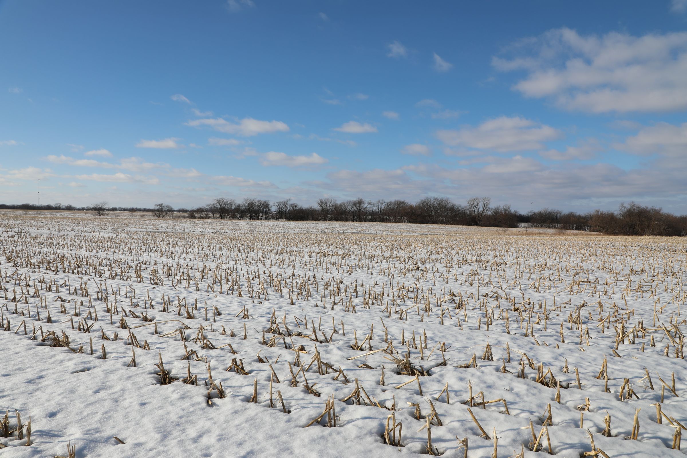 land-davis-county-iowa-180-acres-listing-number-15360-2-2021-02-25-173838.JPG