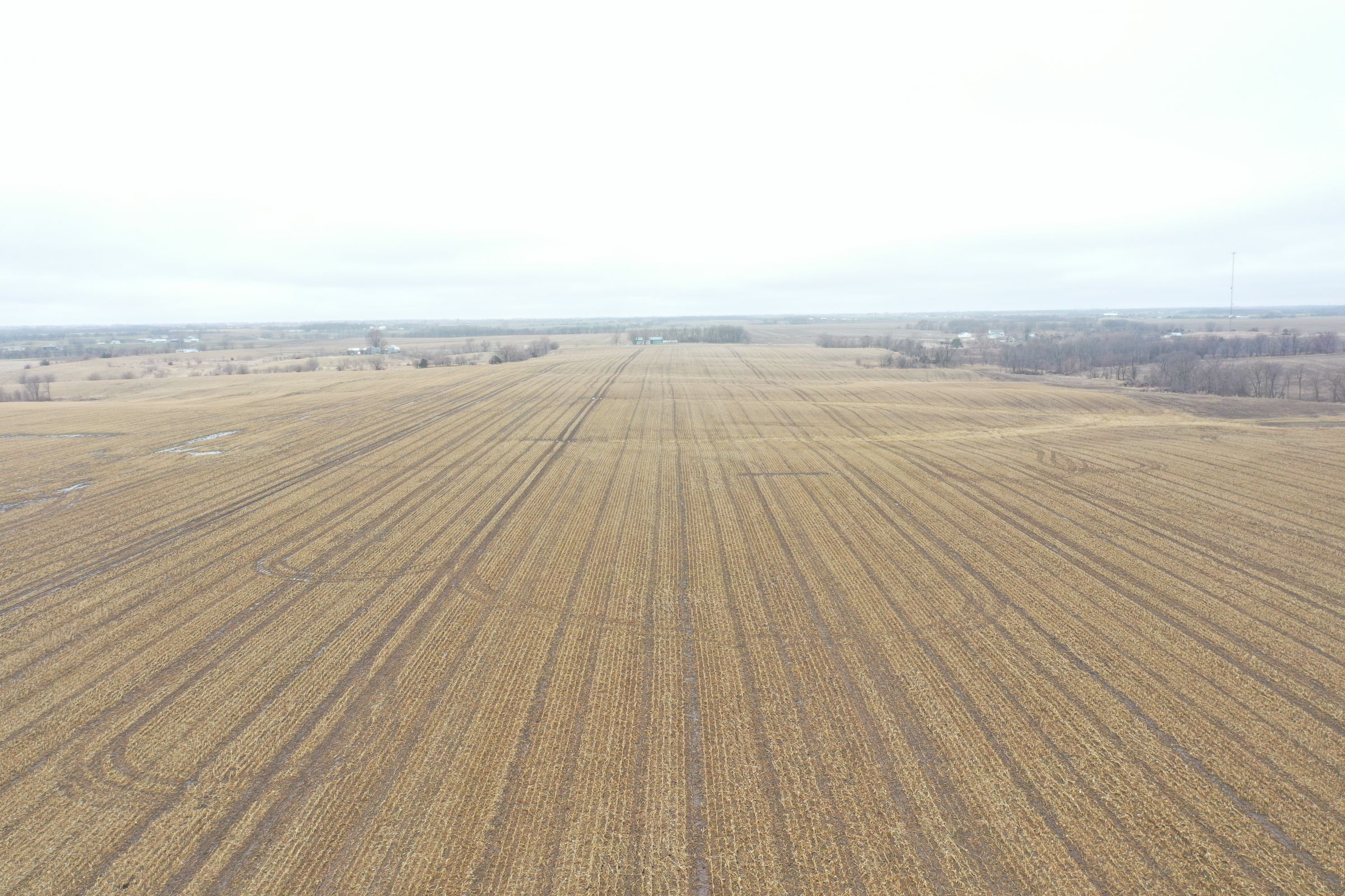 land-davis-county-iowa-180-acres-listing-number-15360-2-2021-03-19-143912.JPG