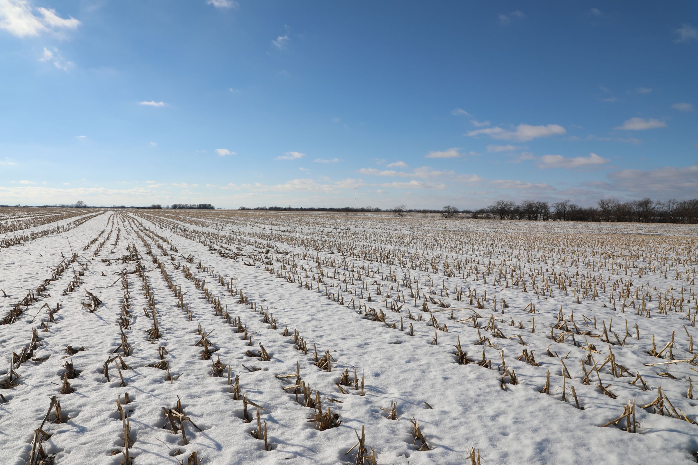 land-davis-county-iowa-180-acres-listing-number-15360-4-2021-02-25-173843.JPG