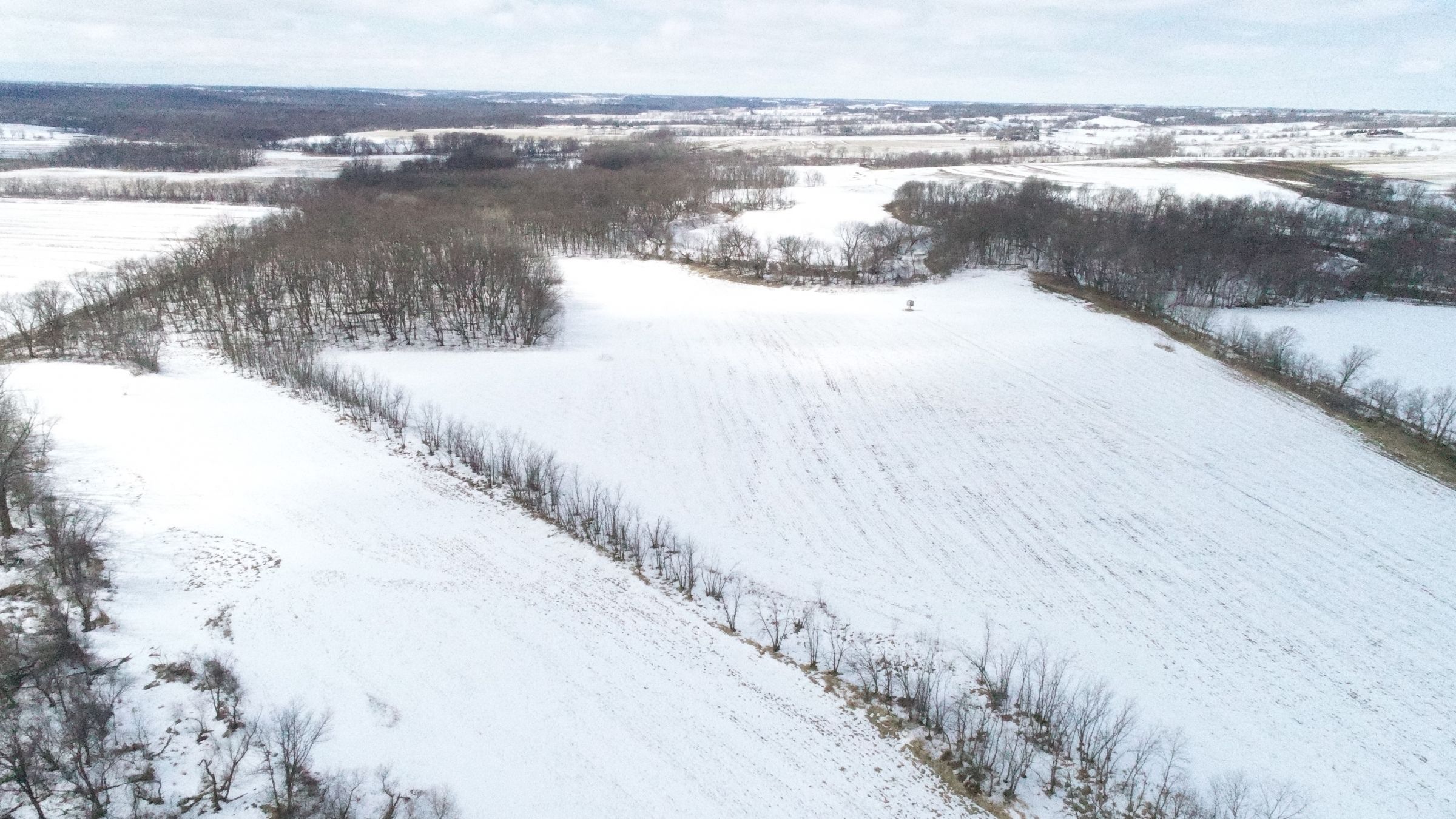 Listing 15371 Peoples Company