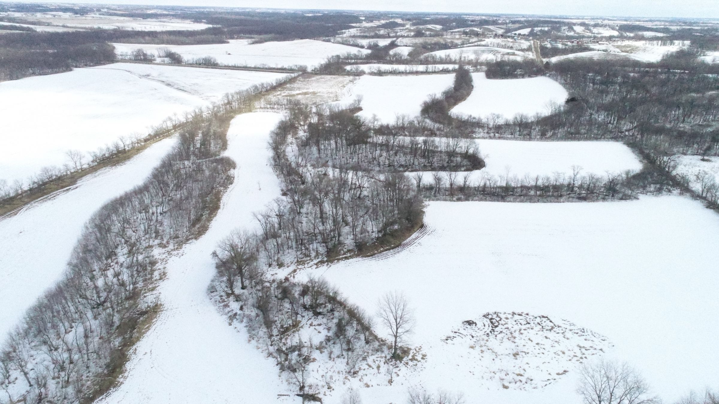 Listing 15371 Peoples Company