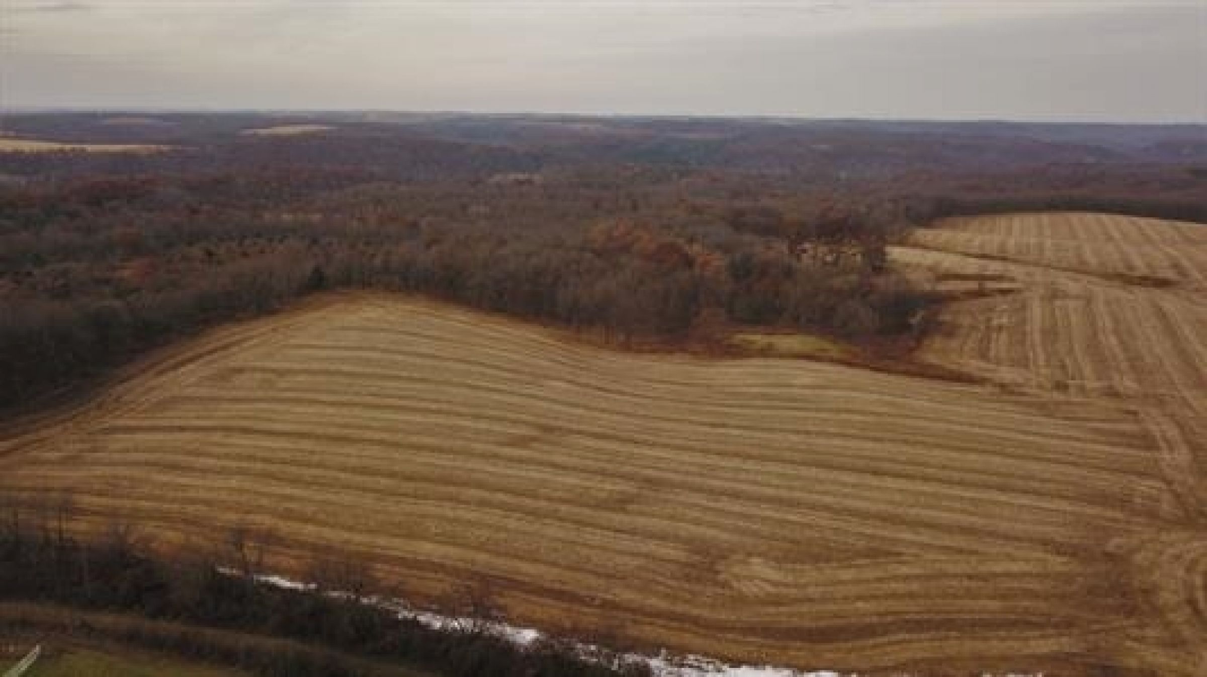 iowa-county-wisconsin-0-acres-listing-number-15380-1-2021-02-24-035825.jpg