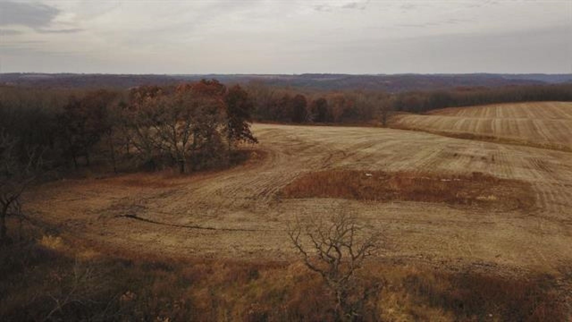 iowa-county-wisconsin-0-acres-listing-number-15380-2-2021-02-24-035826.jpg