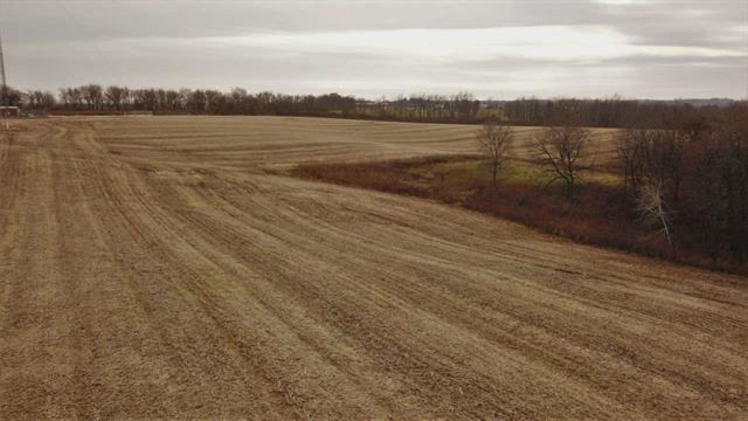 iowa-county-wisconsin-0-acres-listing-number-15380-3-2021-02-24-035826.jpg