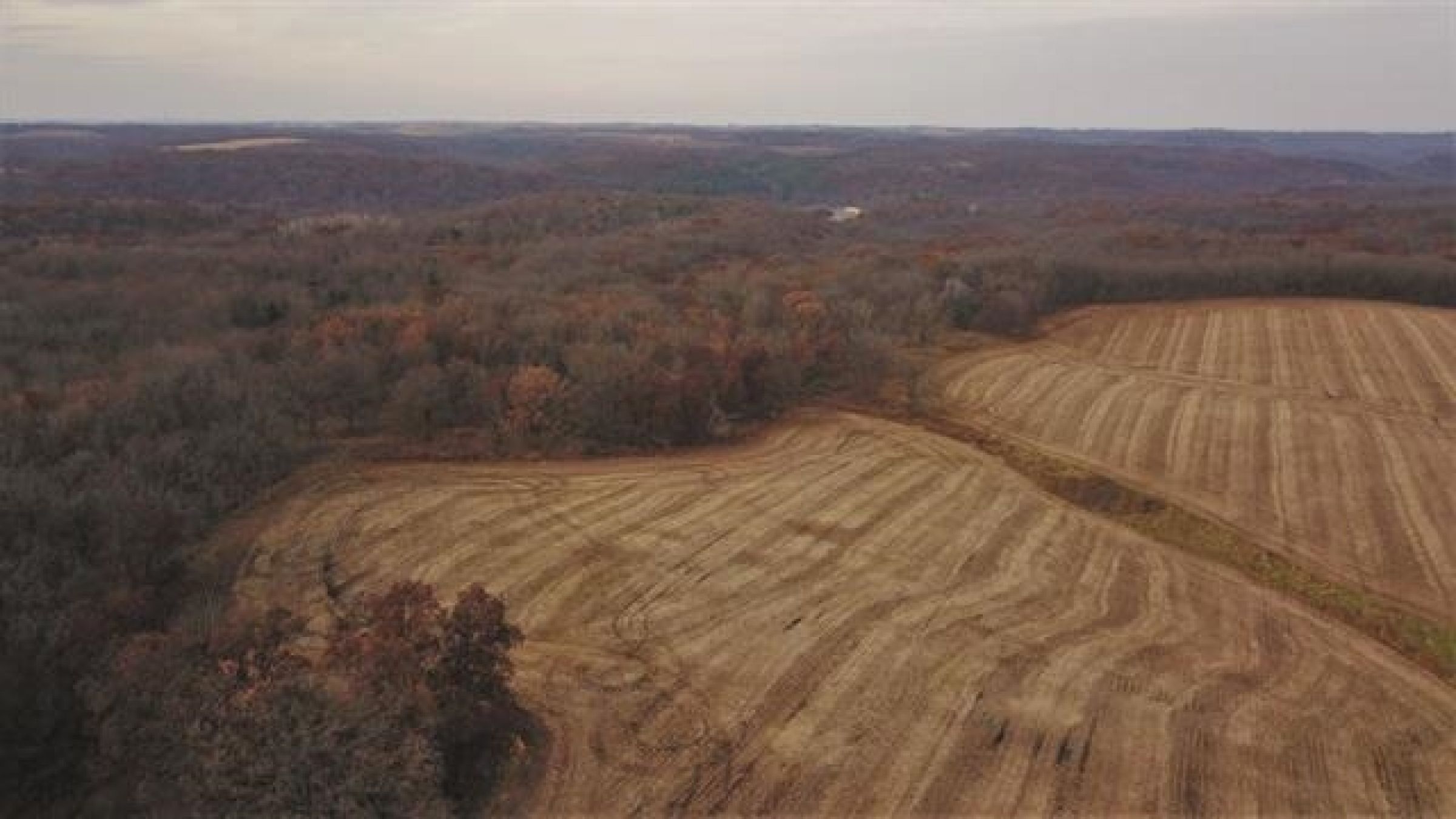 iowa-county-wisconsin-0-acres-listing-number-15380-7-2021-02-24-035827.jpg