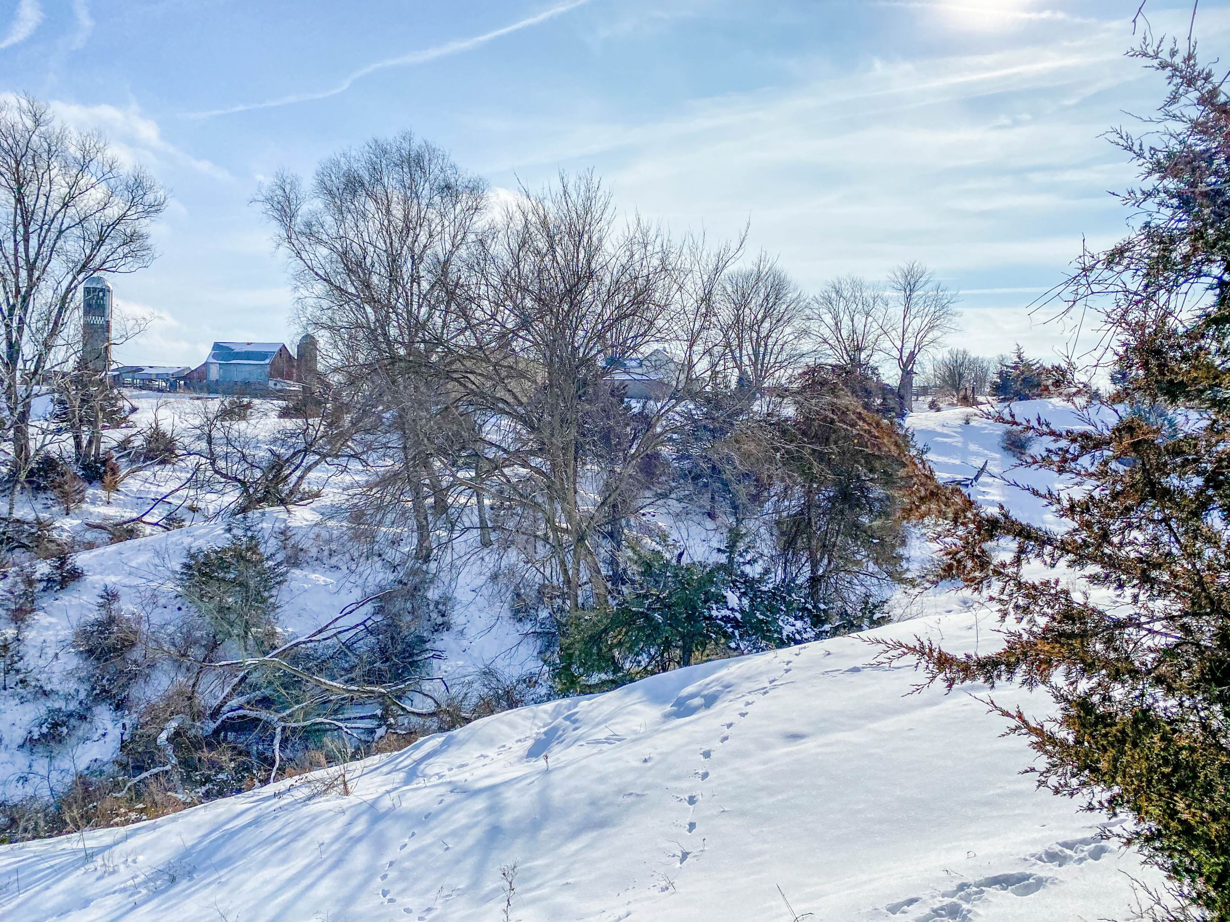 residential-land-grant-county-wisconsin-260-acres-listing-number-15381-18-2021-02-24-051900.jpg