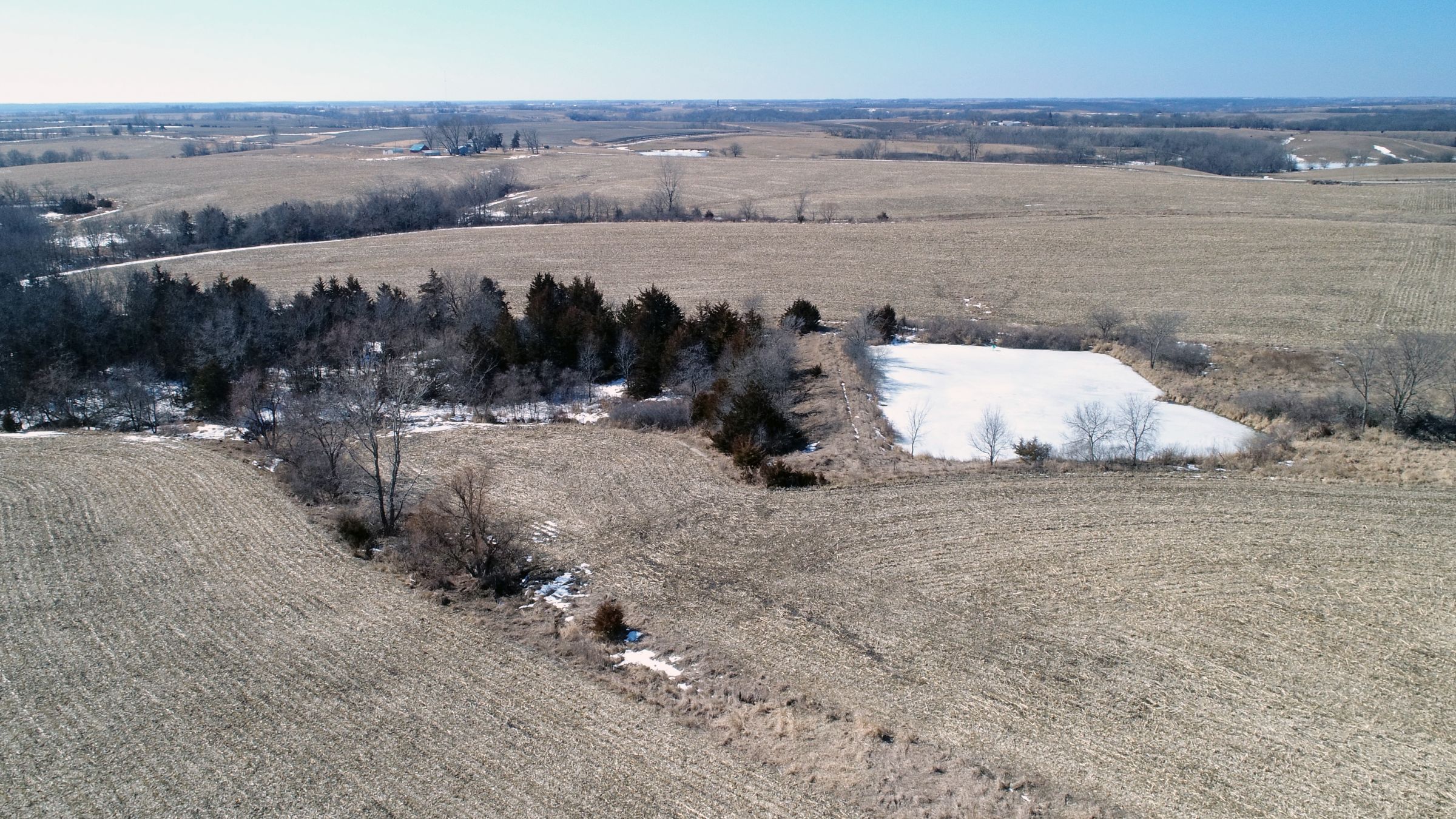 land-lucas-county-iowa-194-acres-listing-number-15385-4-2021-03-02-195731.jpg