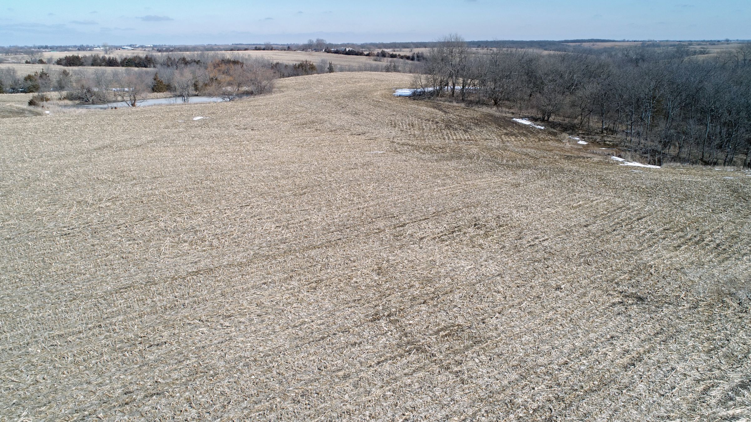 land-lucas-county-iowa-194-acres-listing-number-15385-6-2021-03-02-182634.jpg