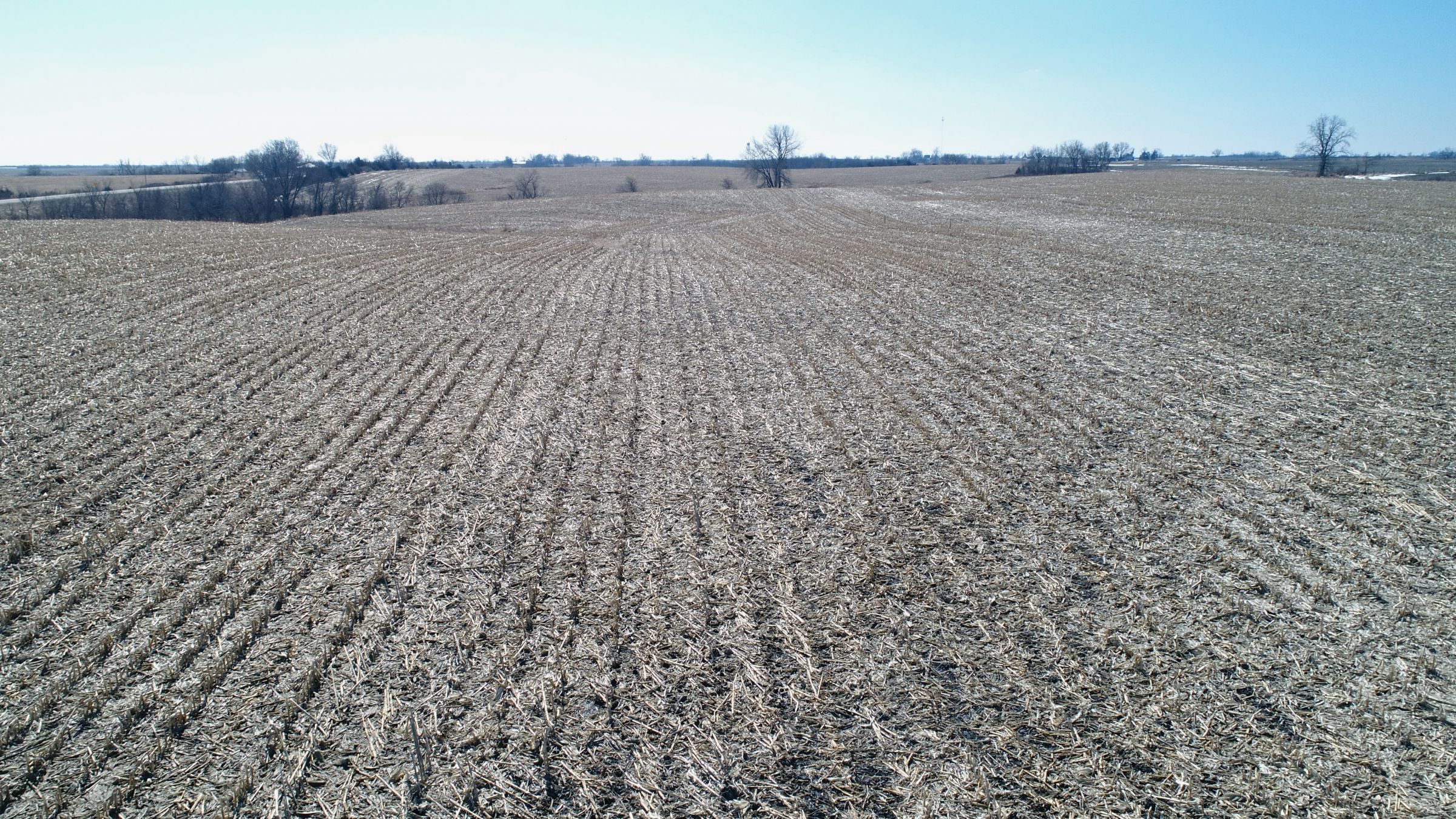 land-lucas-county-iowa-194-acres-listing-number-15385-6-2021-03-02-195735.jpg
