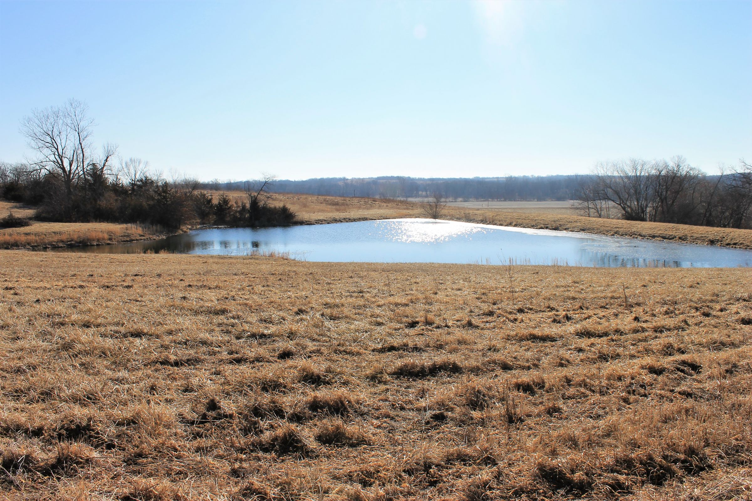 land-gentry-county-missouri-40-acres-listing-number-15397-0-2021-03-09-163946.jpg