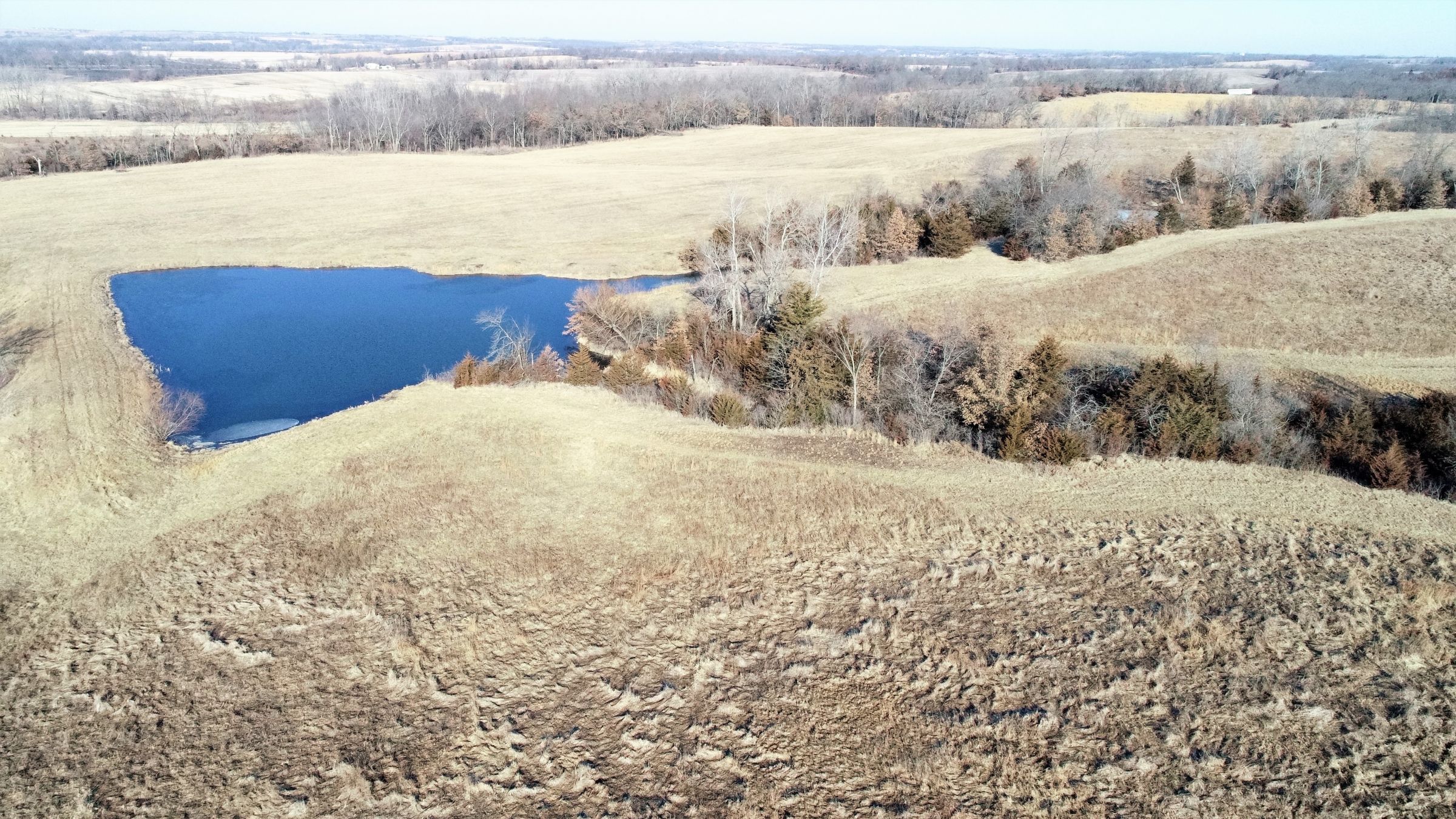 land-gentry-county-missouri-40-acres-listing-number-15397-3-2021-03-09-163950.jpg