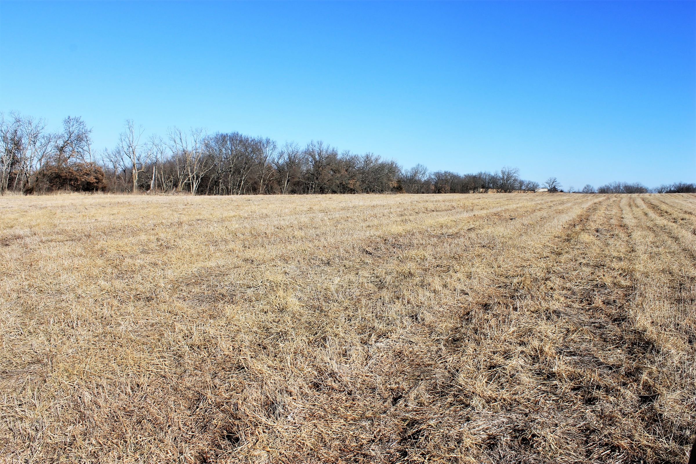 land-gentry-county-missouri-40-acres-listing-number-15397-4-2021-03-09-163951.jpg
