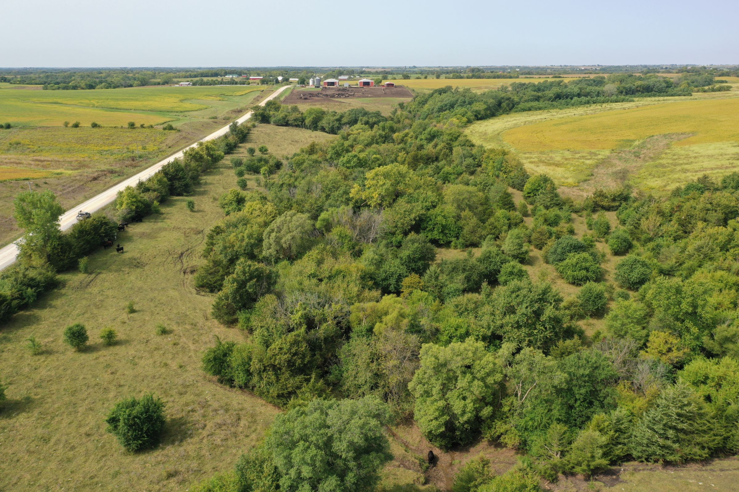 clarke-county-iowa-37-acres-listing-number-15398-0-2021-03-08-151149.jpg