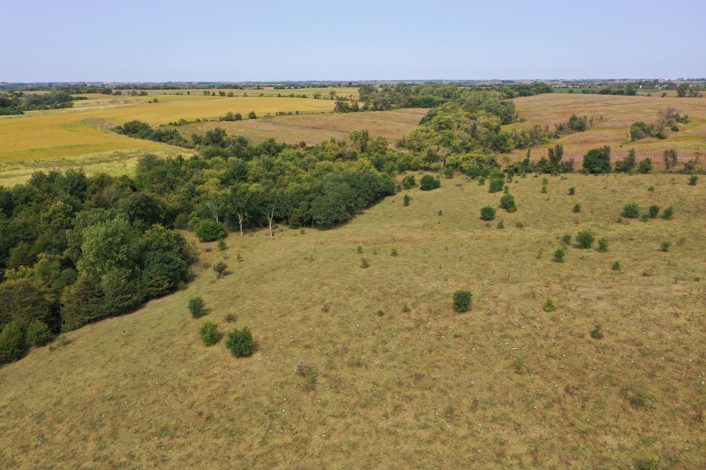 clarke-county-iowa-37-acres-listing-number-15398-1-2021-03-08-151446.jpg