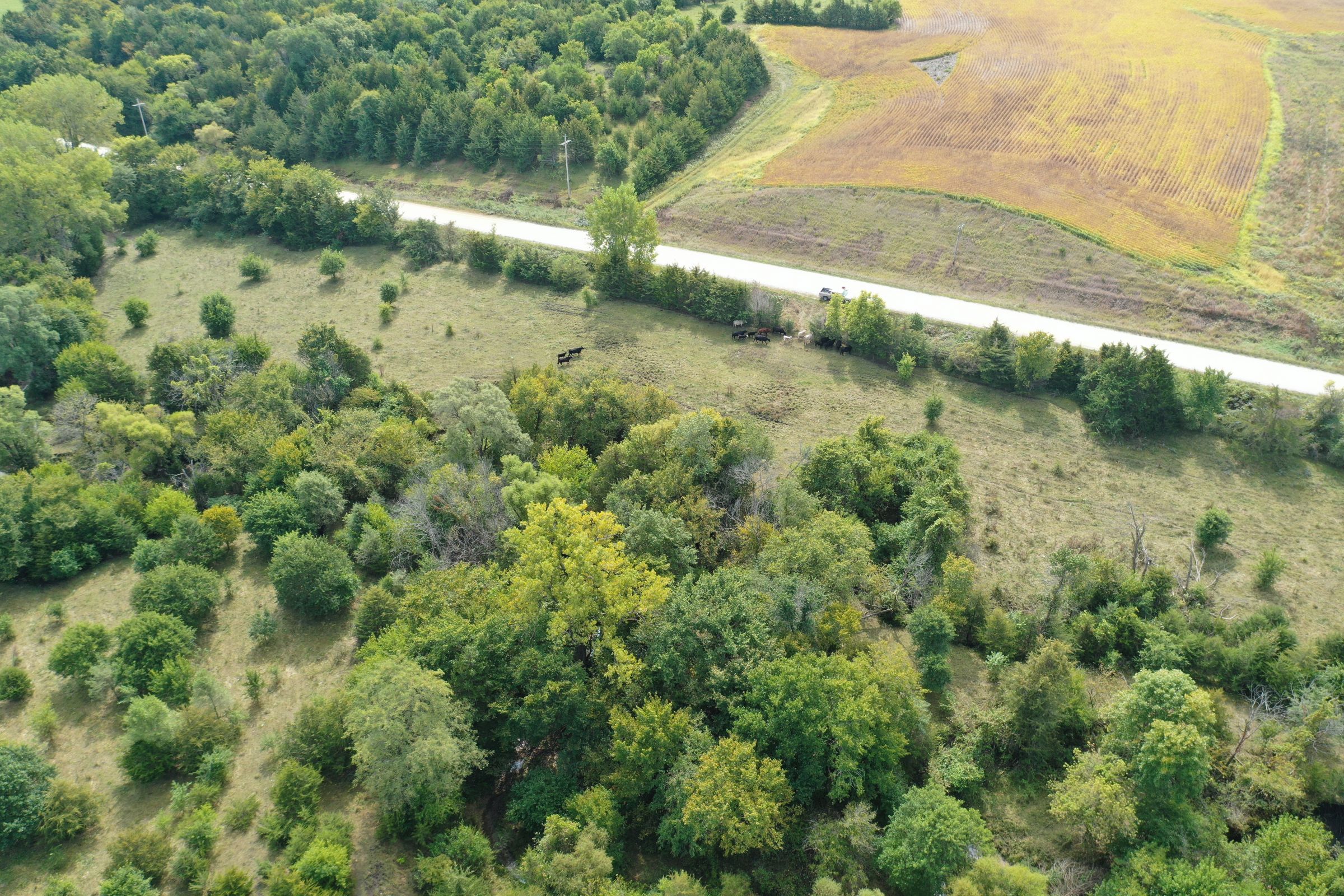 clarke-county-iowa-37-acres-listing-number-15398-2-2021-03-08-151152.jpg