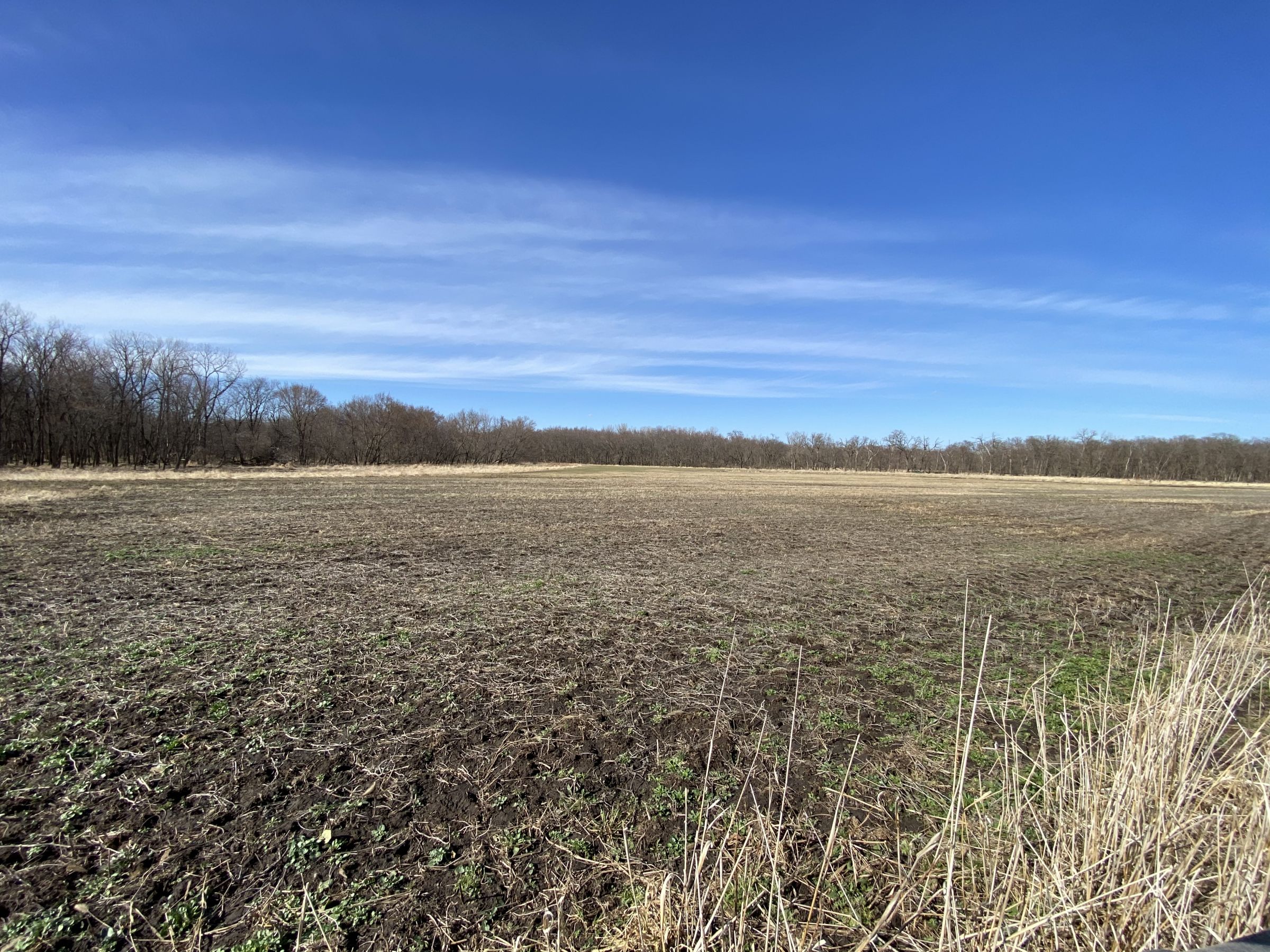 land-warren-county-iowa-112-acres-listing-number-15404-0-2021-03-12-151154.jpg