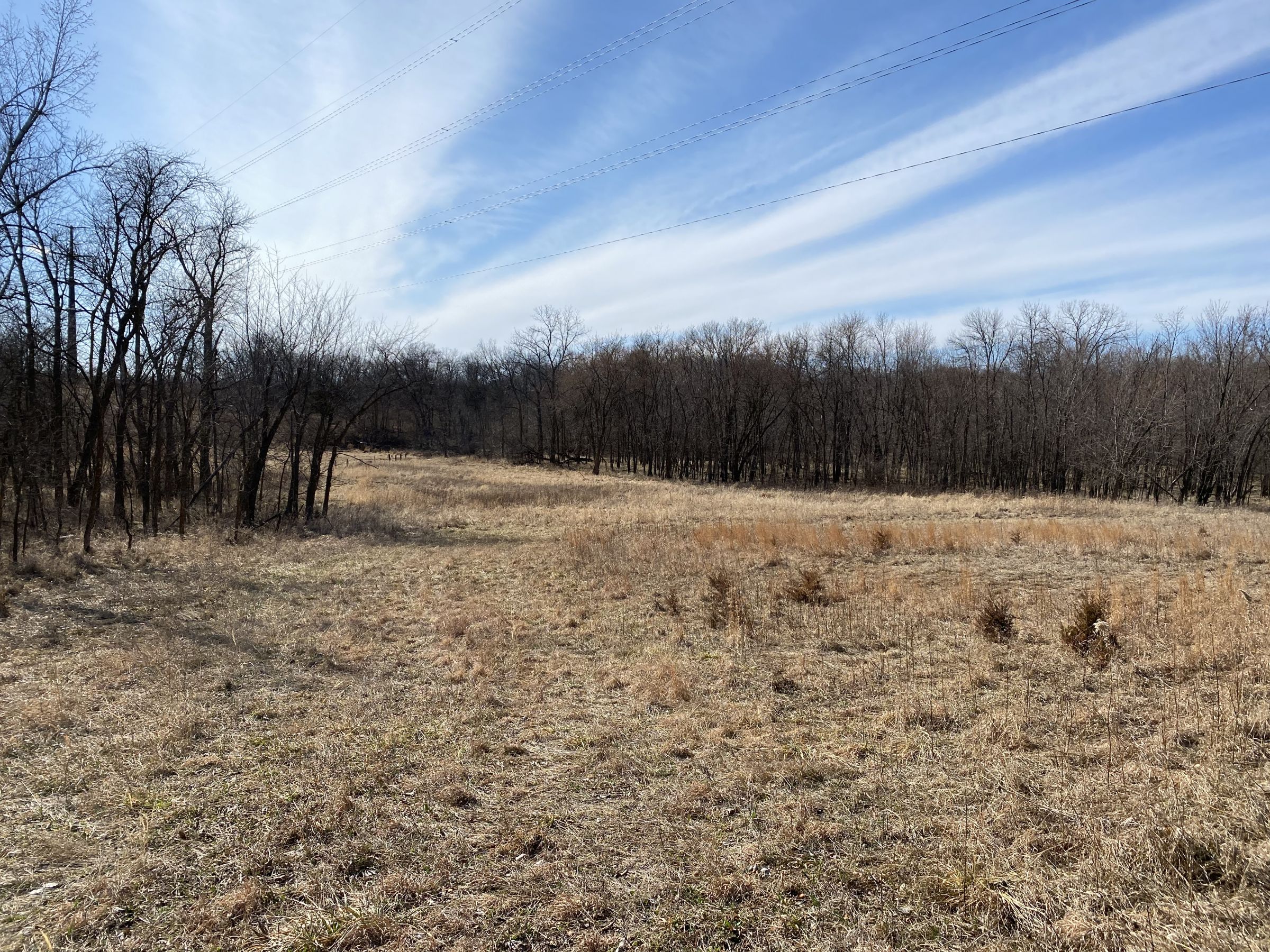 land-warren-county-iowa-112-acres-listing-number-15404-1-2021-03-12-151155.jpg