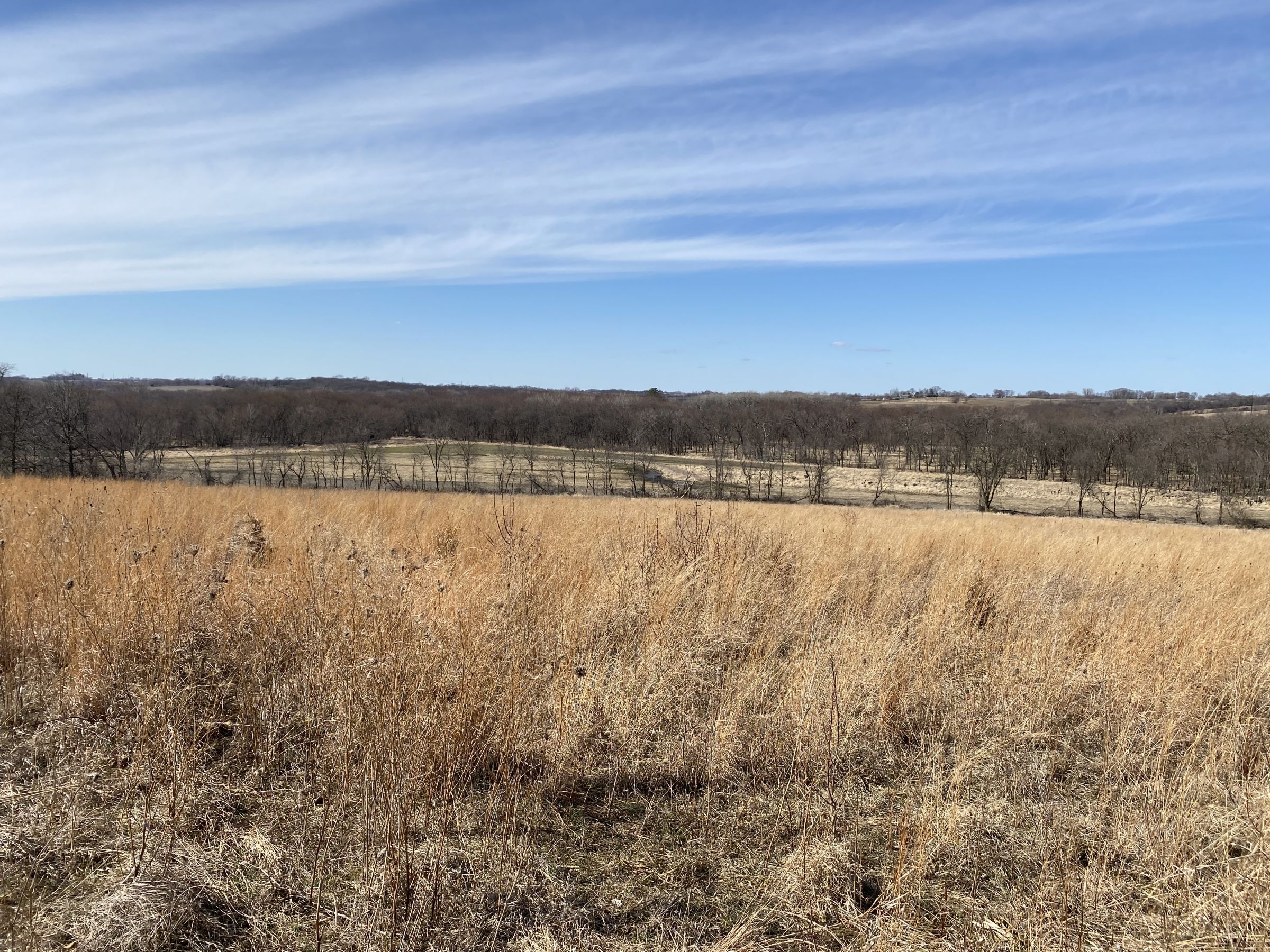 land-warren-county-iowa-112-acres-listing-number-15404-3-2021-03-12-151134.jpg