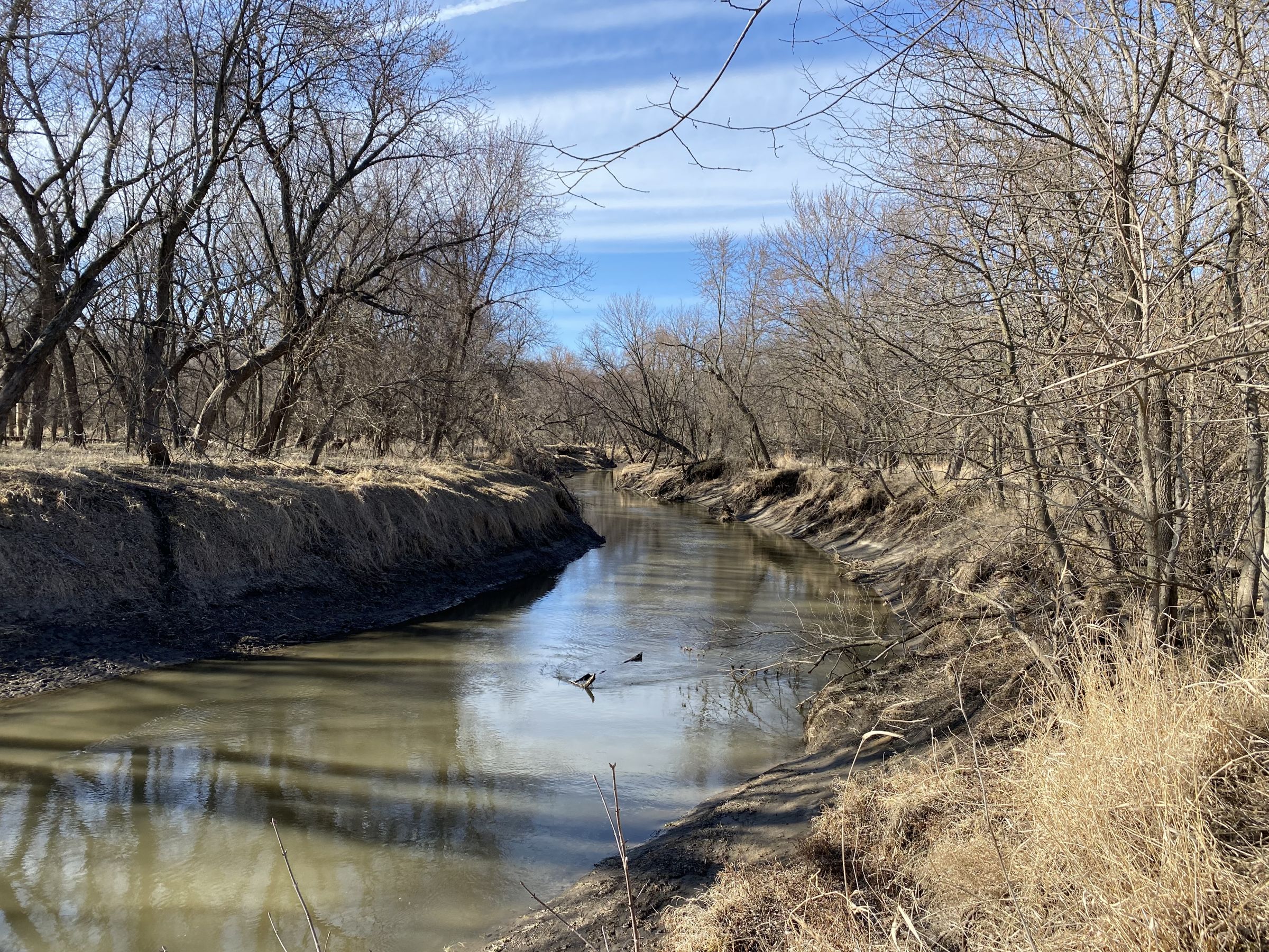 land-warren-county-iowa-112-acres-listing-number-15404-3-2021-03-12-151158.jpg