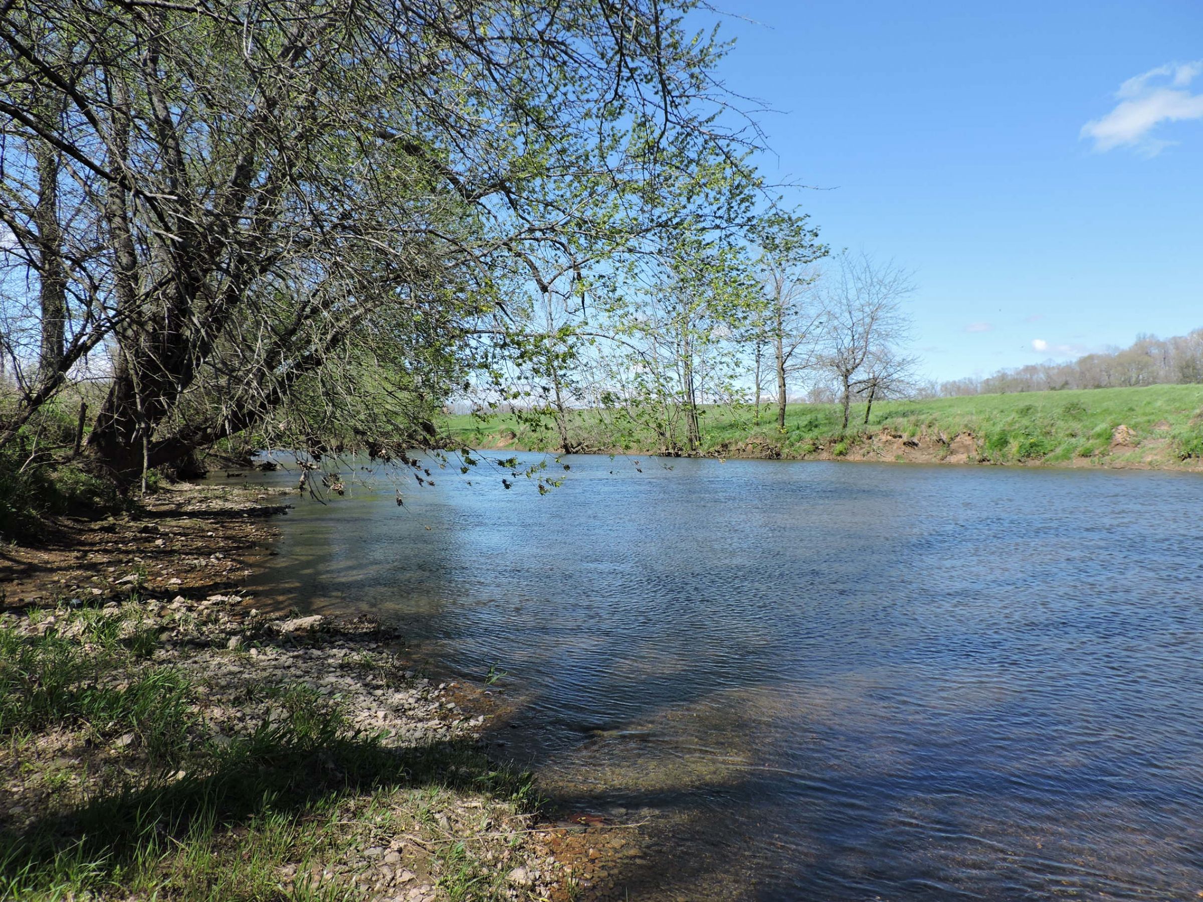 land-sharp-county-arkansas-695-acres-listing-number-15405-17-2021-04-13-213617.JPG