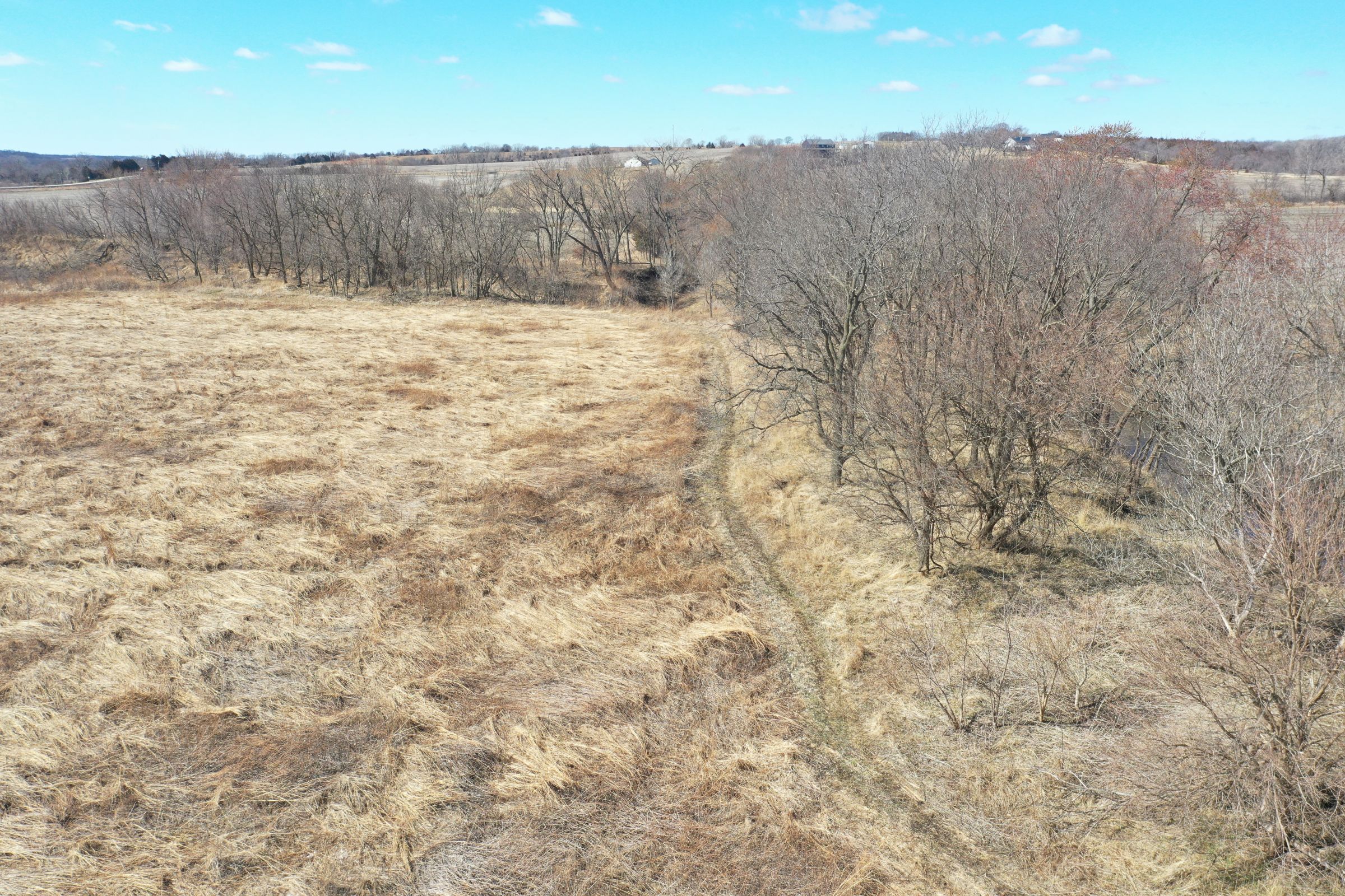 warren-county-iowa-0-acres-listing-number-15407-3-2021-03-11-230447.JPG