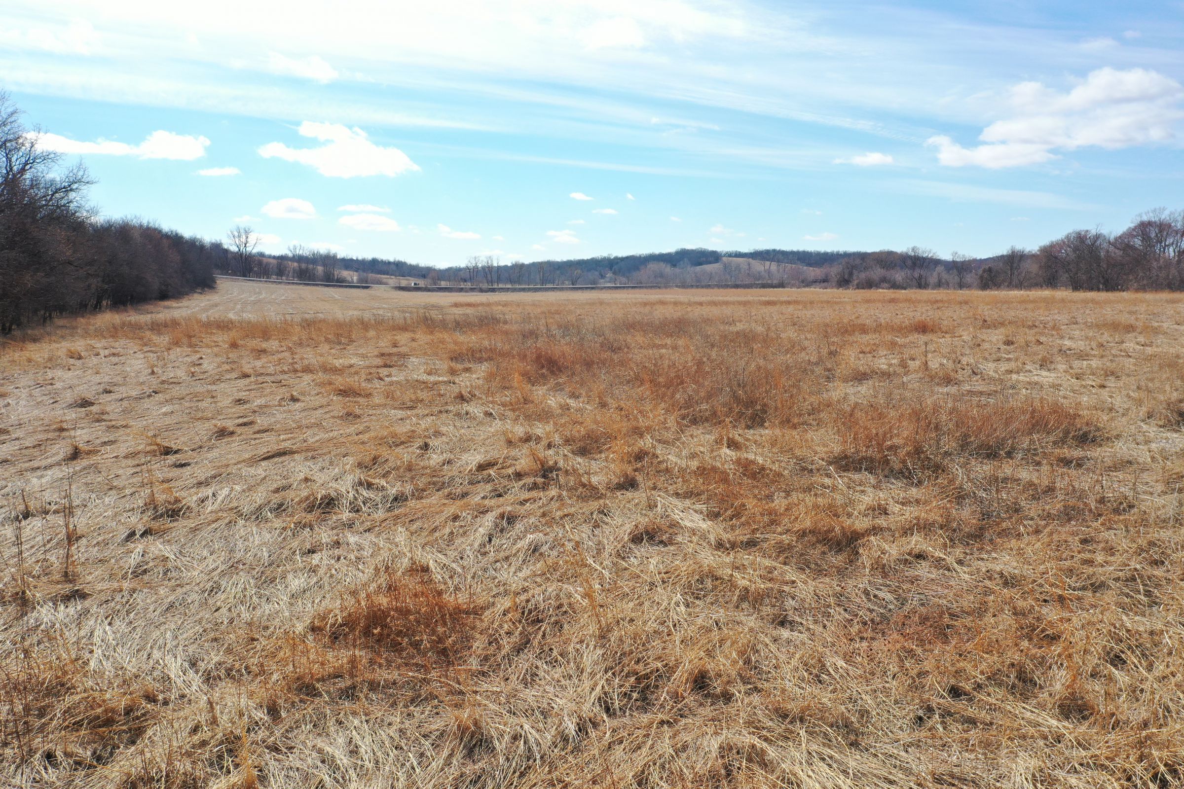 warren-county-iowa-0-acres-listing-number-15407-4-2021-03-11-230532.JPG