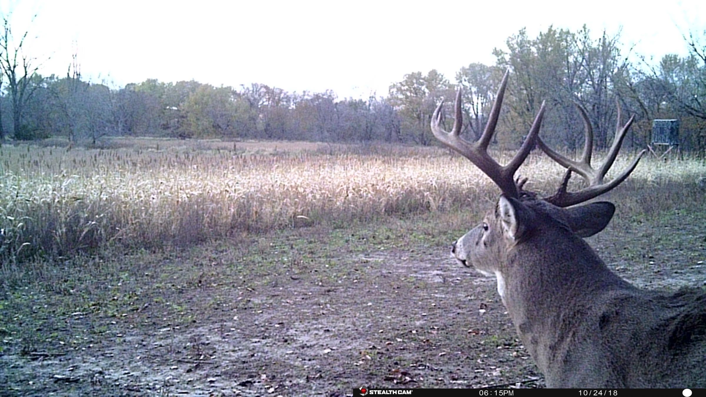 land-clarke-county-iowa-325-acres-listing-number-15416-0-2021-03-19-165610.JPG