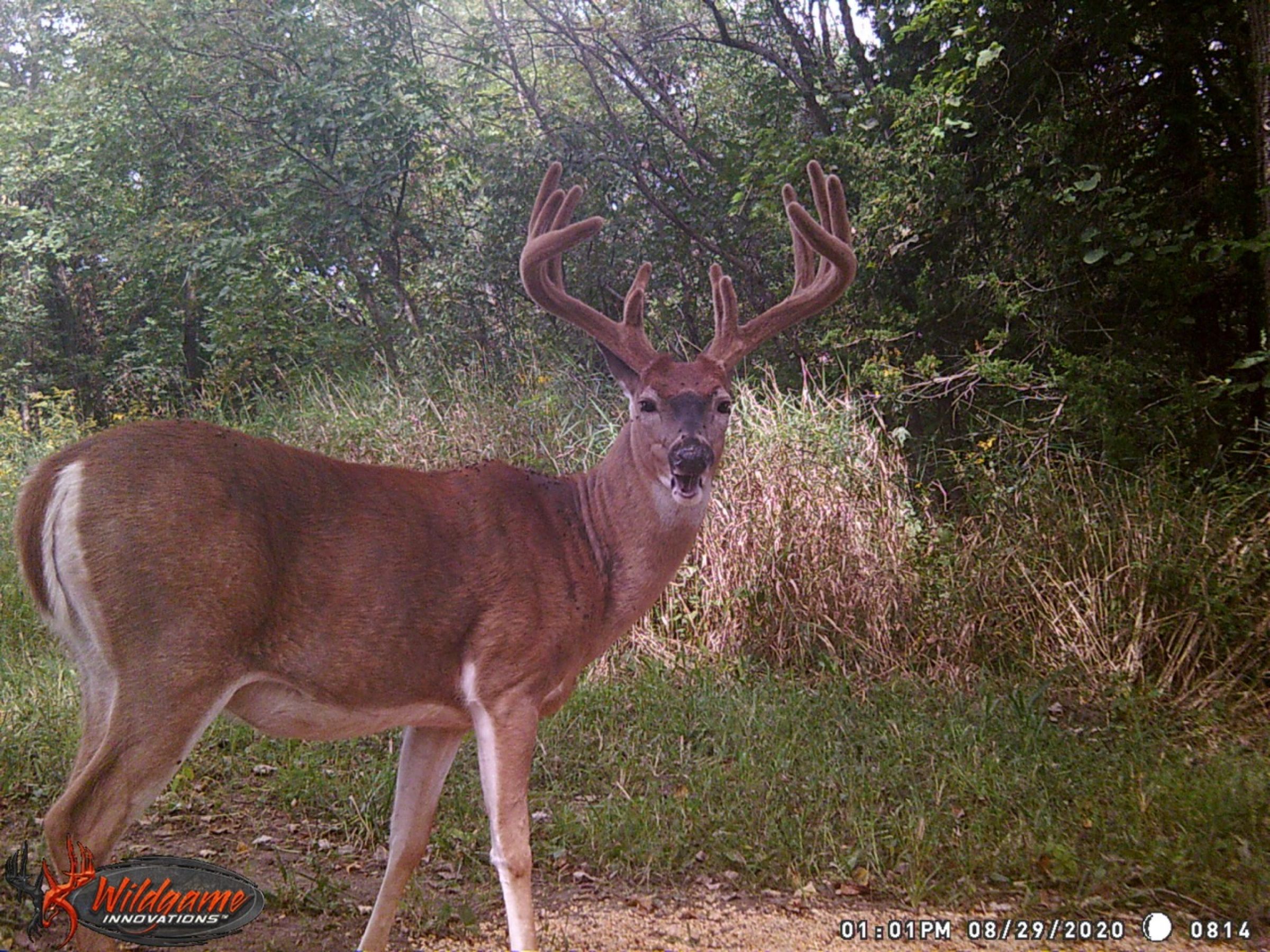 land-clarke-county-iowa-325-acres-listing-number-15416-1-2021-03-17-205902.jpeg