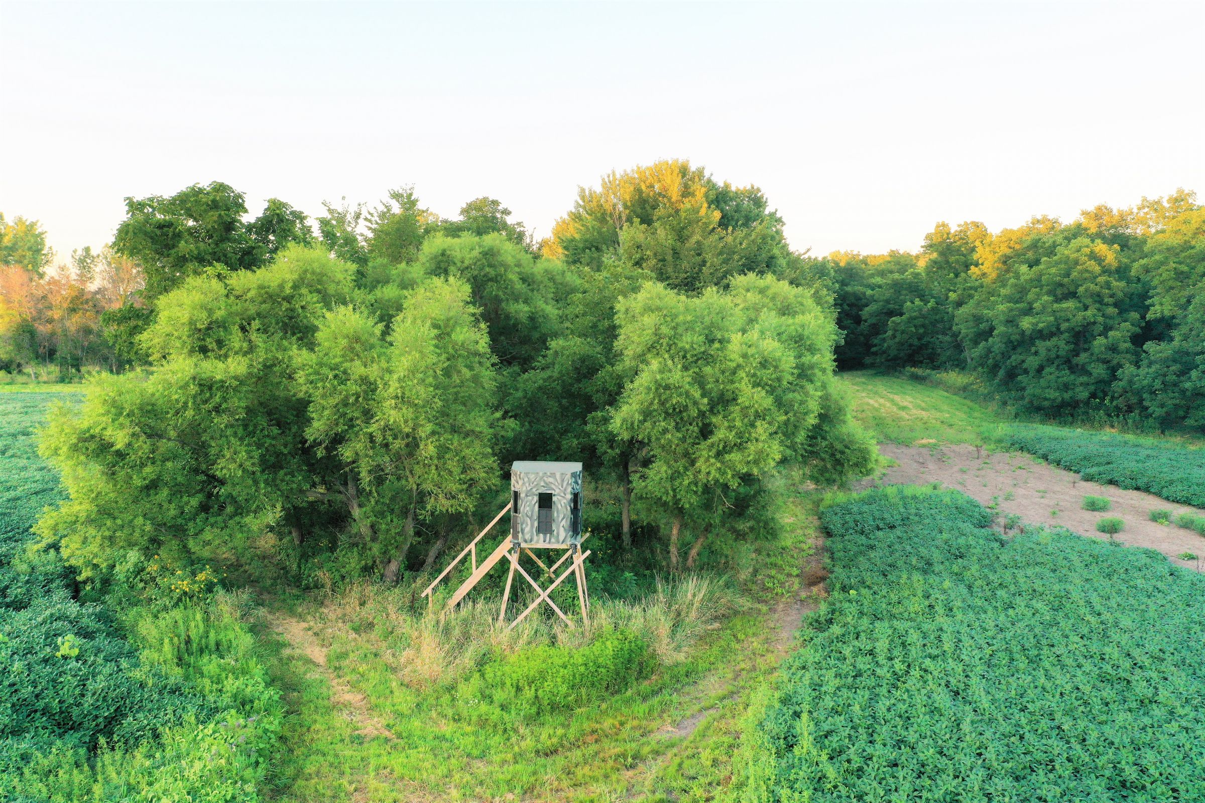 land-clarke-county-iowa-325-acres-listing-number-15416-1-2021-03-18-163312.JPG