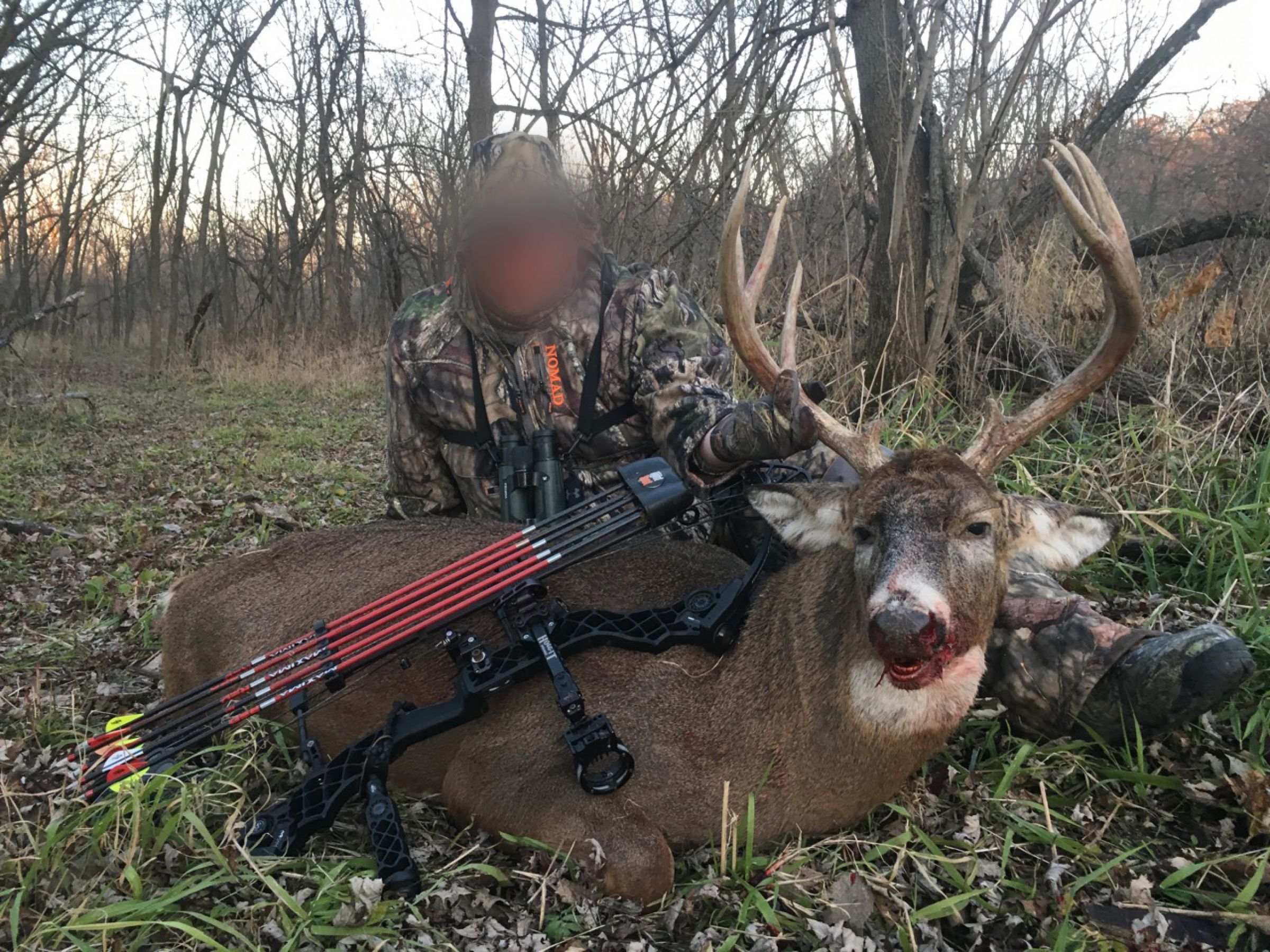 land-clarke-county-iowa-325-acres-listing-number-15416-1-2021-03-19-160701.jpg