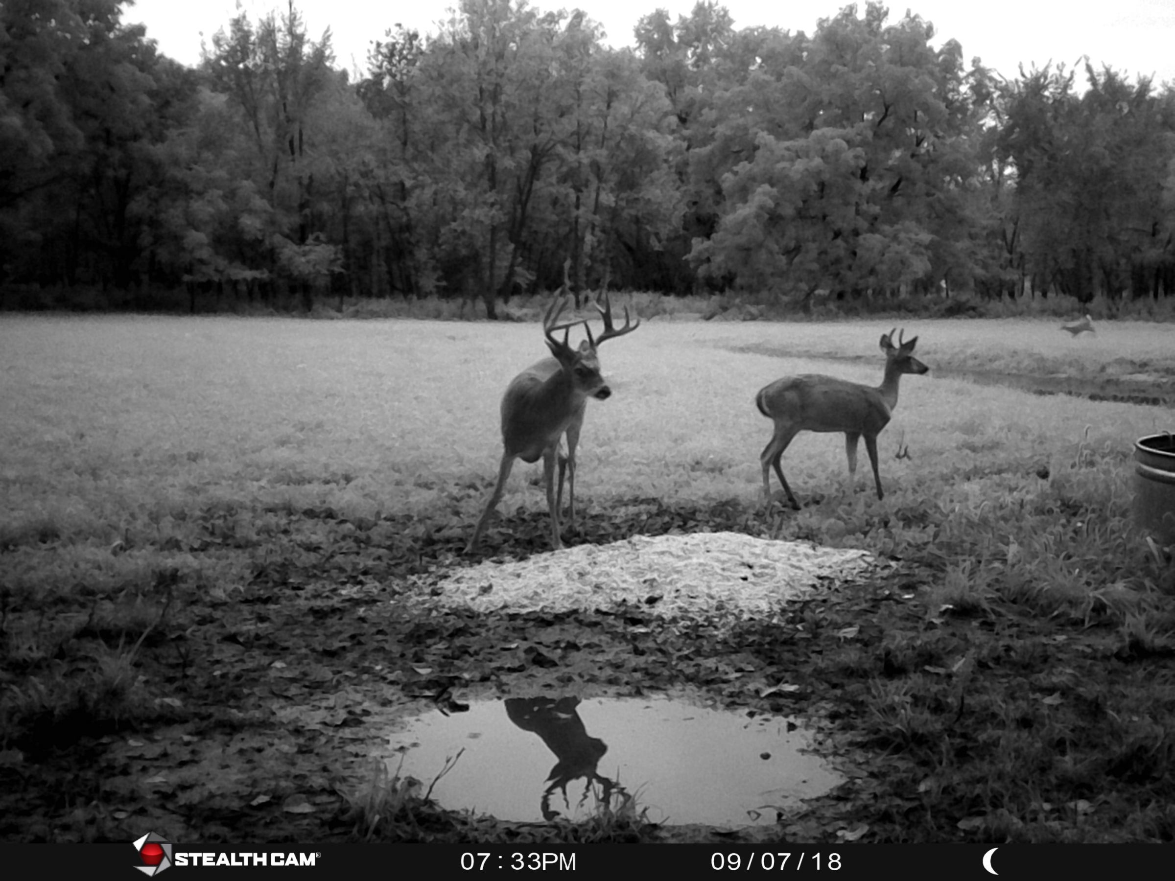 land-clarke-county-iowa-325-acres-listing-number-15416-1-2021-03-19-165611.JPG