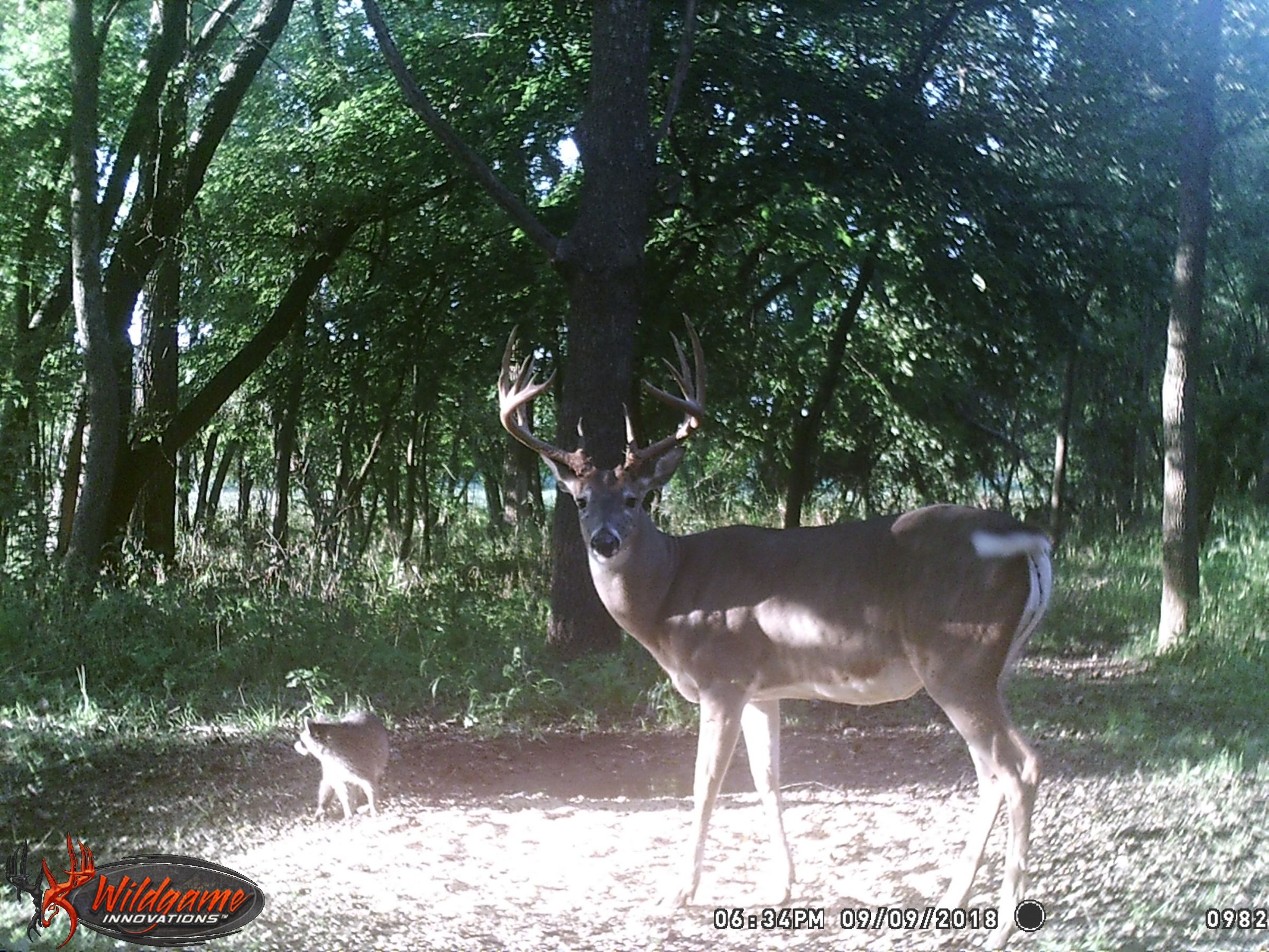 land-clarke-county-iowa-325-acres-listing-number-15416-10-2021-03-19-165619.JPG