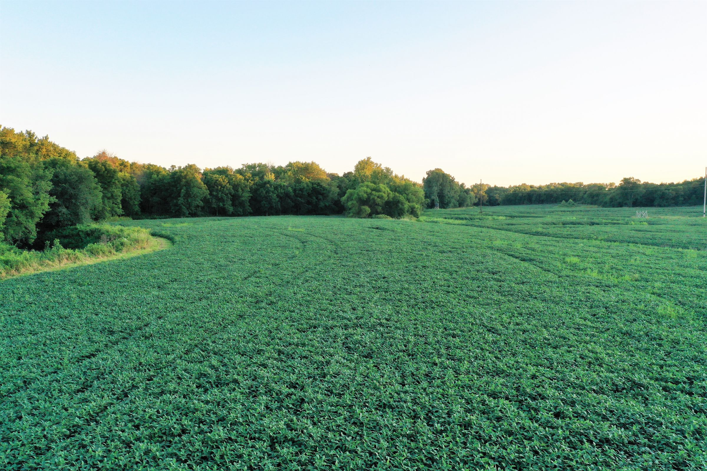 land-clarke-county-iowa-325-acres-listing-number-15416-2-2021-03-18-163314.JPG