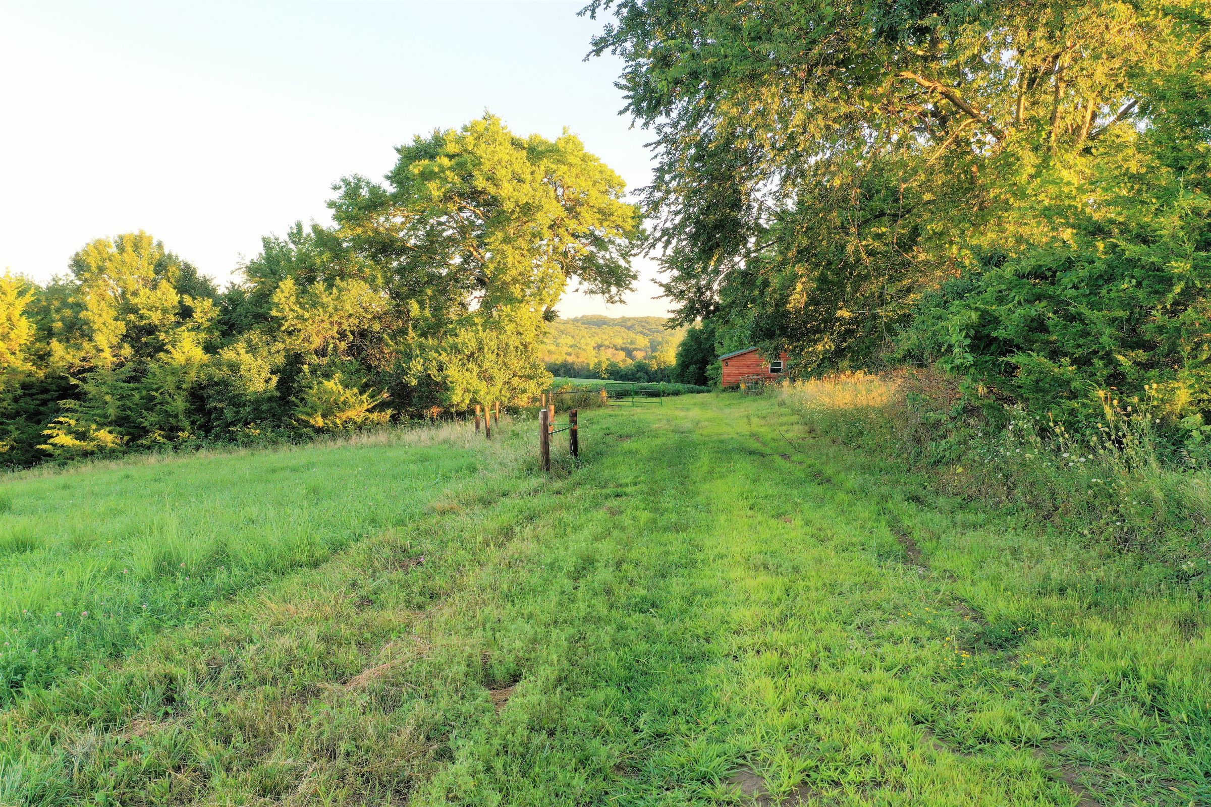 land-clarke-county-iowa-325-acres-listing-number-15416-3-2021-03-18-162754.JPG