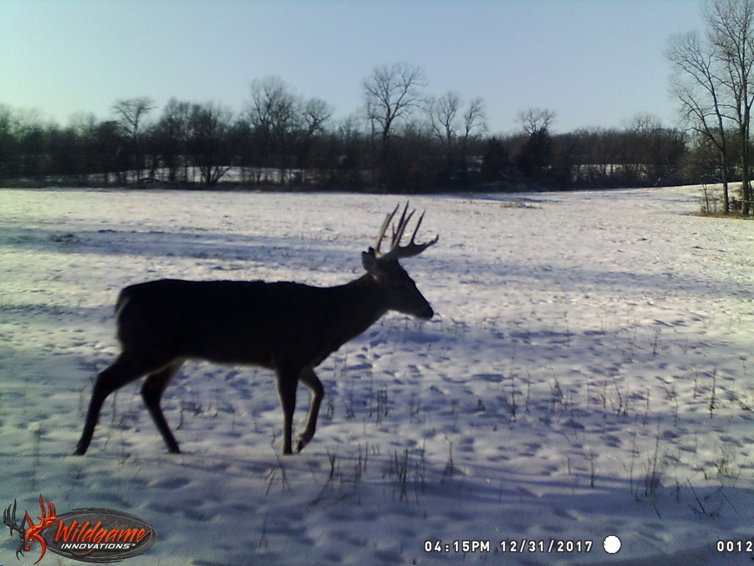 land-clarke-county-iowa-325-acres-listing-number-15416-3-2021-03-19-165613.JPG