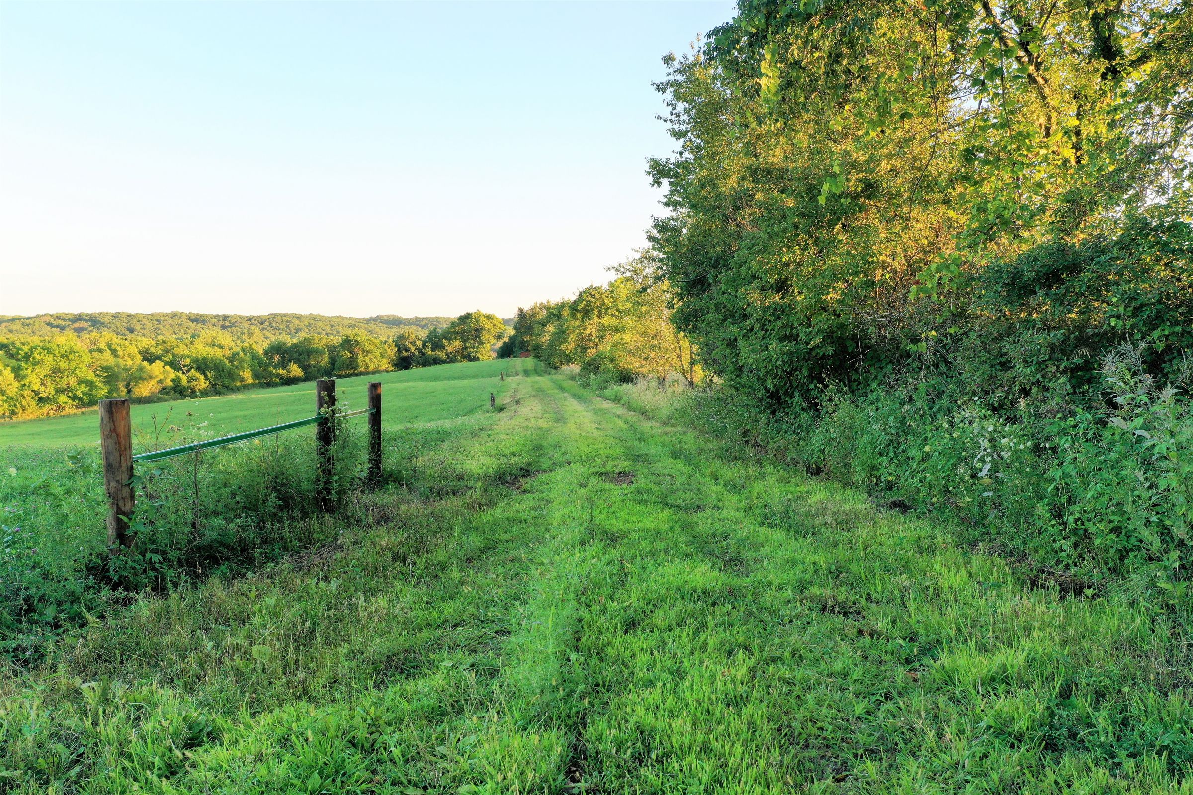 land-clarke-county-iowa-325-acres-listing-number-15416-4-2021-03-18-162756.JPG