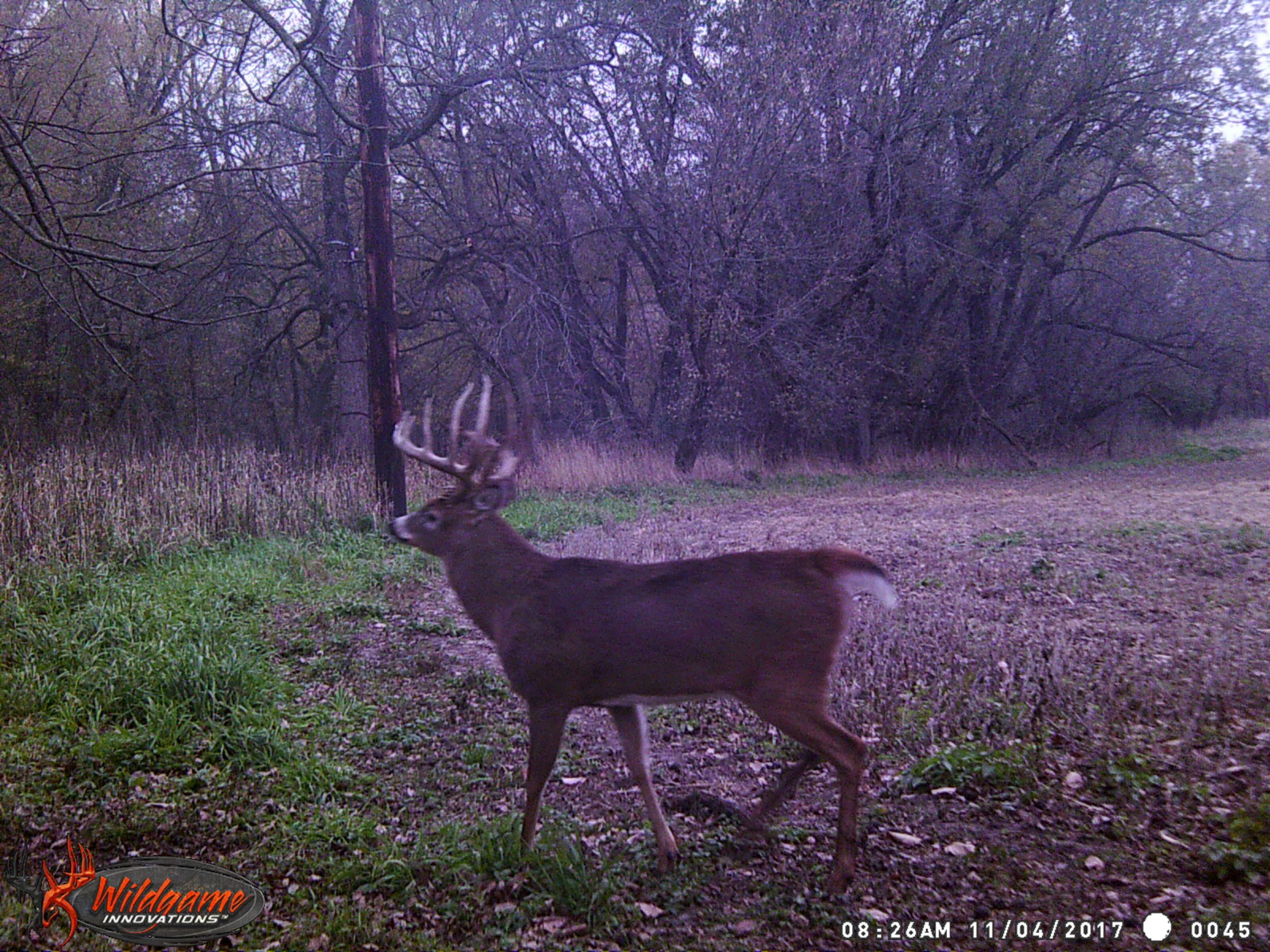 land-clarke-county-iowa-325-acres-listing-number-15416-4-2021-03-19-165613.JPG