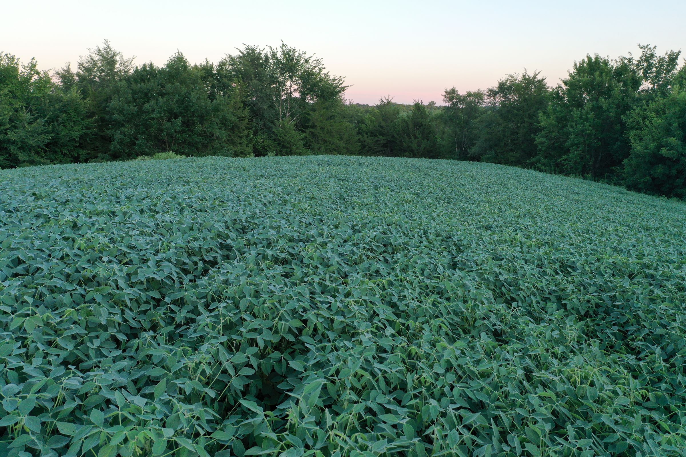 land-clarke-county-iowa-325-acres-listing-number-15416-6-2021-03-18-163320.JPG