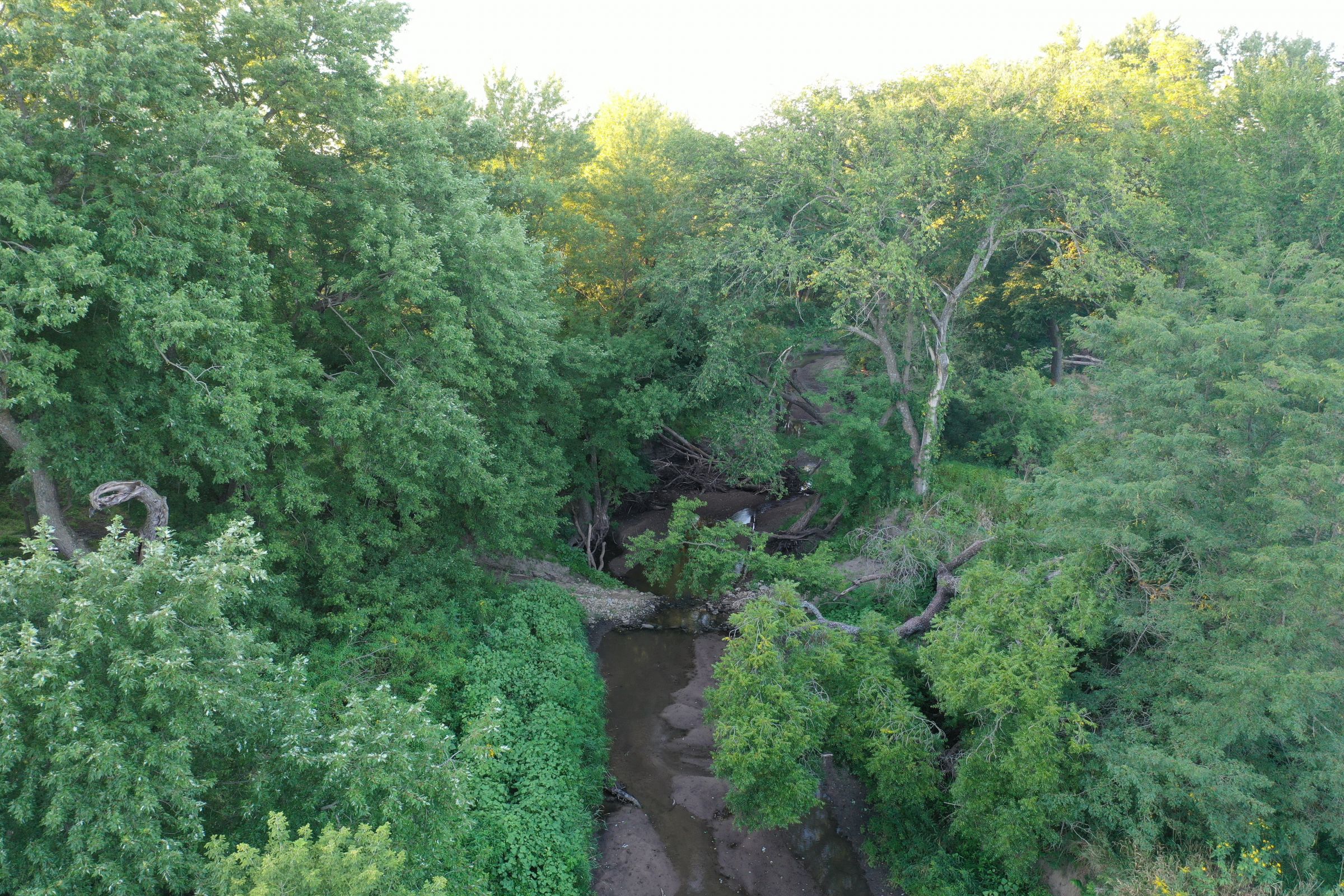 land-clarke-county-iowa-325-acres-listing-number-15416-7-2021-03-18-162801.JPG