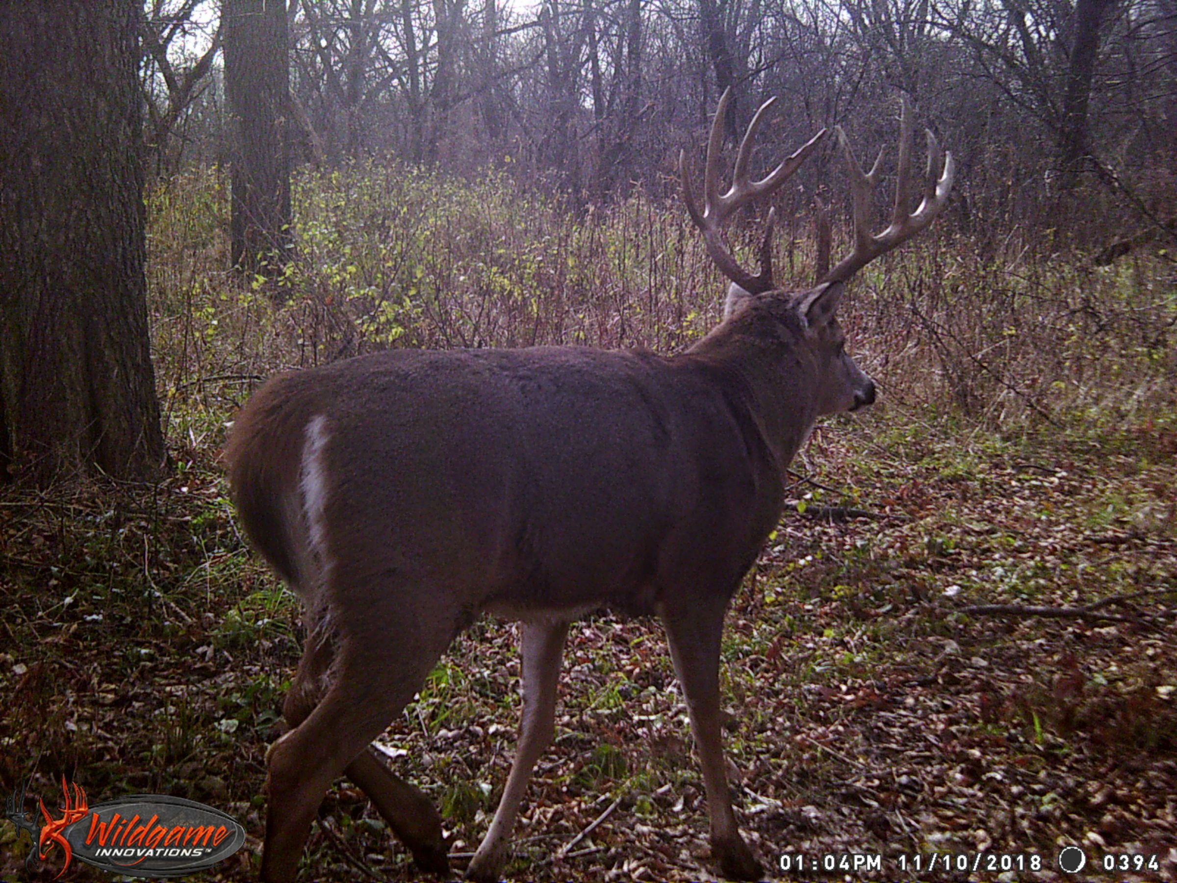 land-clarke-county-iowa-325-acres-listing-number-15416-7-2021-03-19-165616.JPG