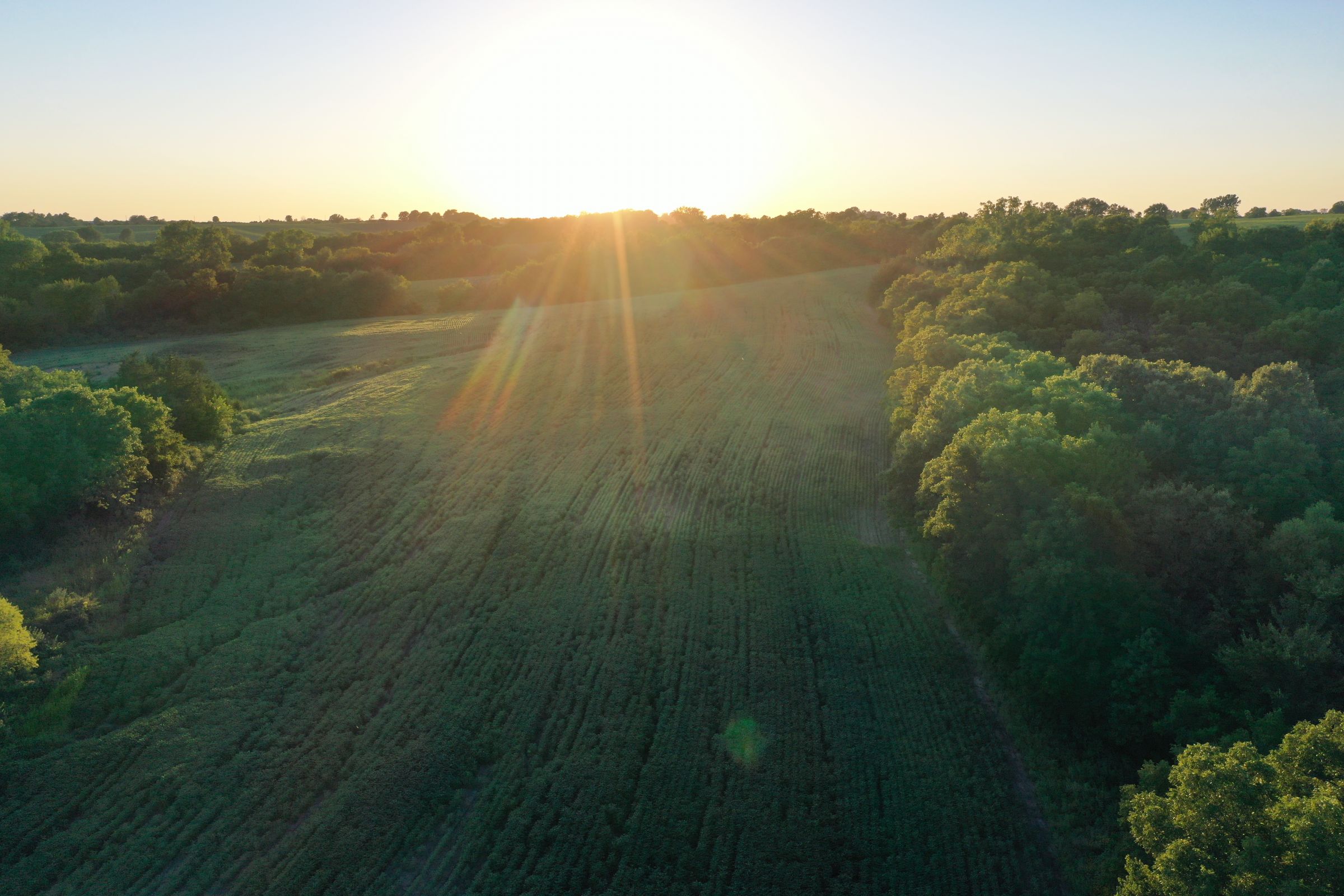 land-clarke-county-iowa-325-acres-listing-number-15416-9-2021-03-18-162805.JPG