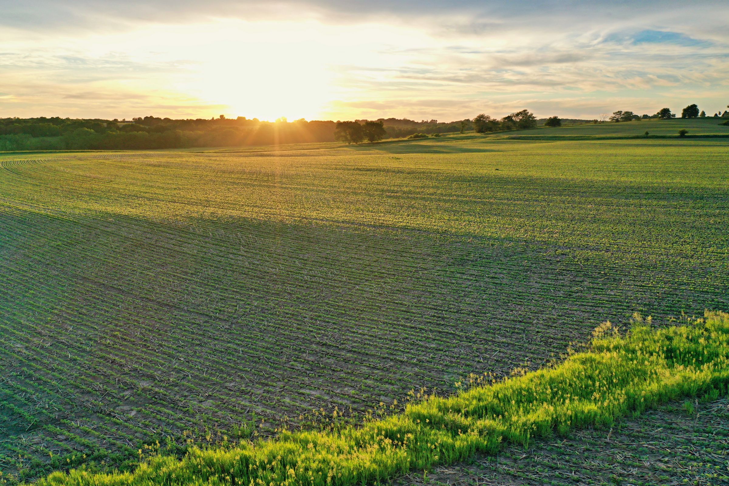 development-land-warren-county-iowa-20-acres-listing-number-15424-2-2021-03-25-201455.JPG