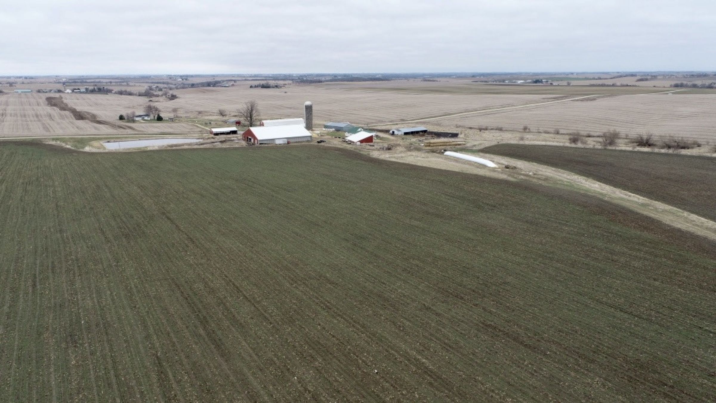 land-lafayette-county-wisconsin-47-acres-listing-number-15428-16-2021-03-25-172104.jpg