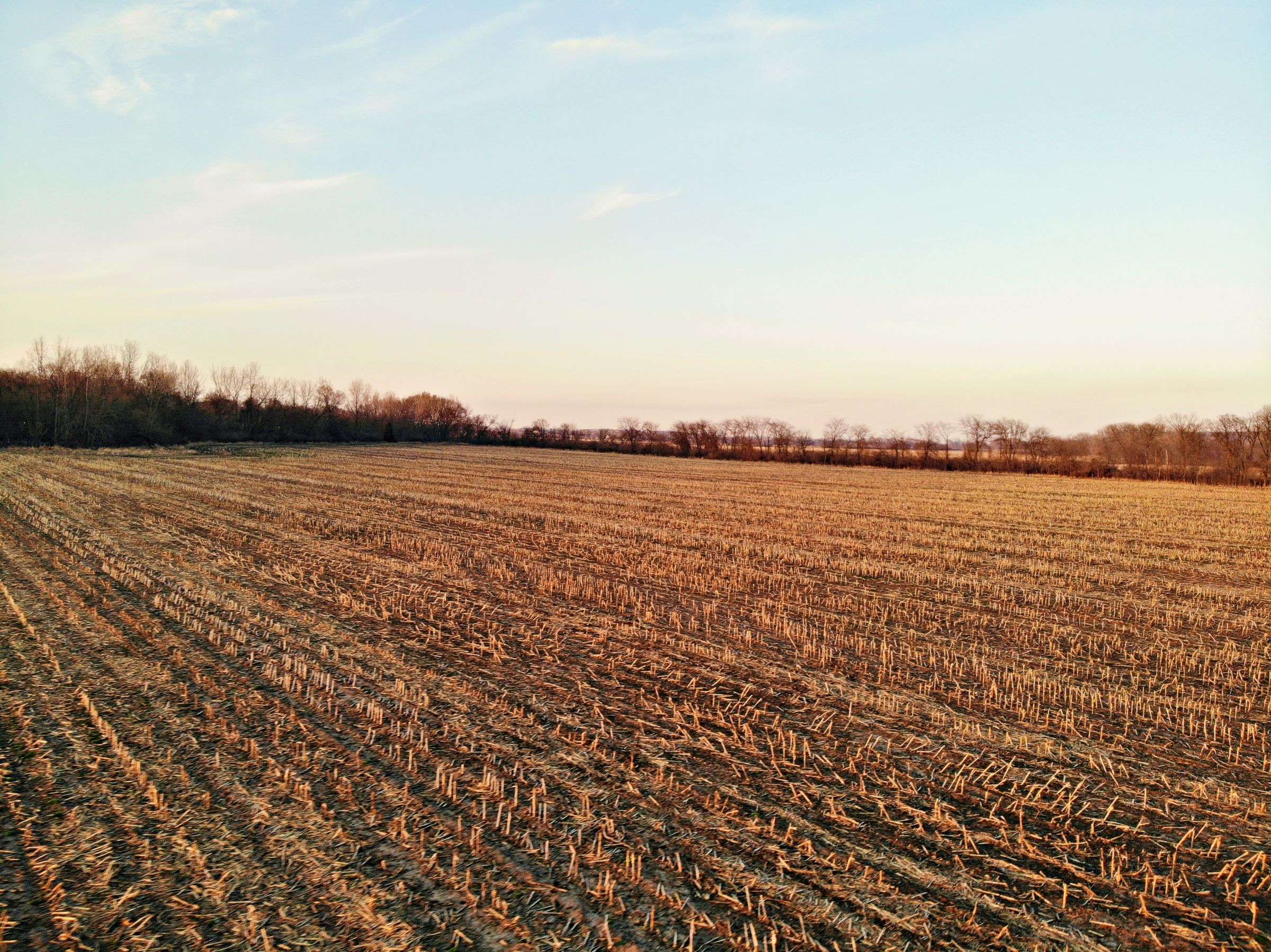 land-warren-county-iowa-35-acres-listing-number-15431-3-2021-04-02-145623.JPG